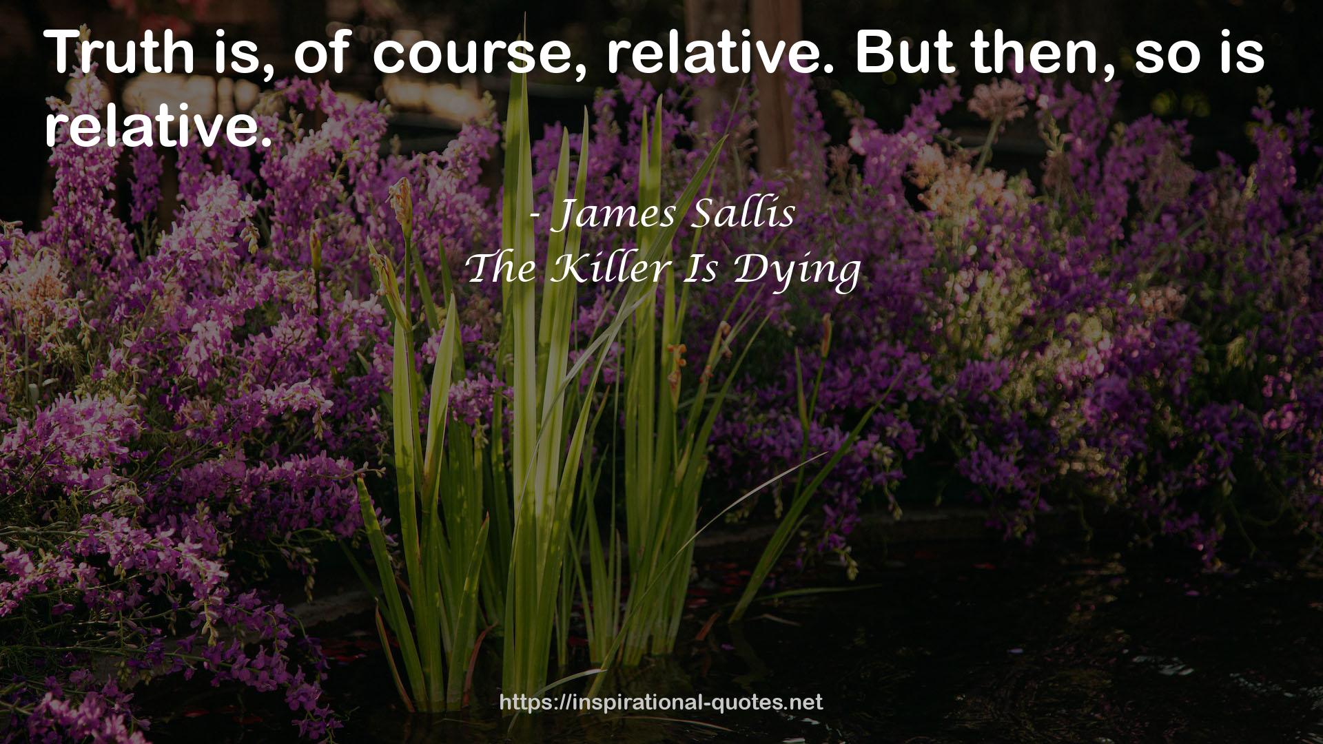 The Killer Is Dying QUOTES