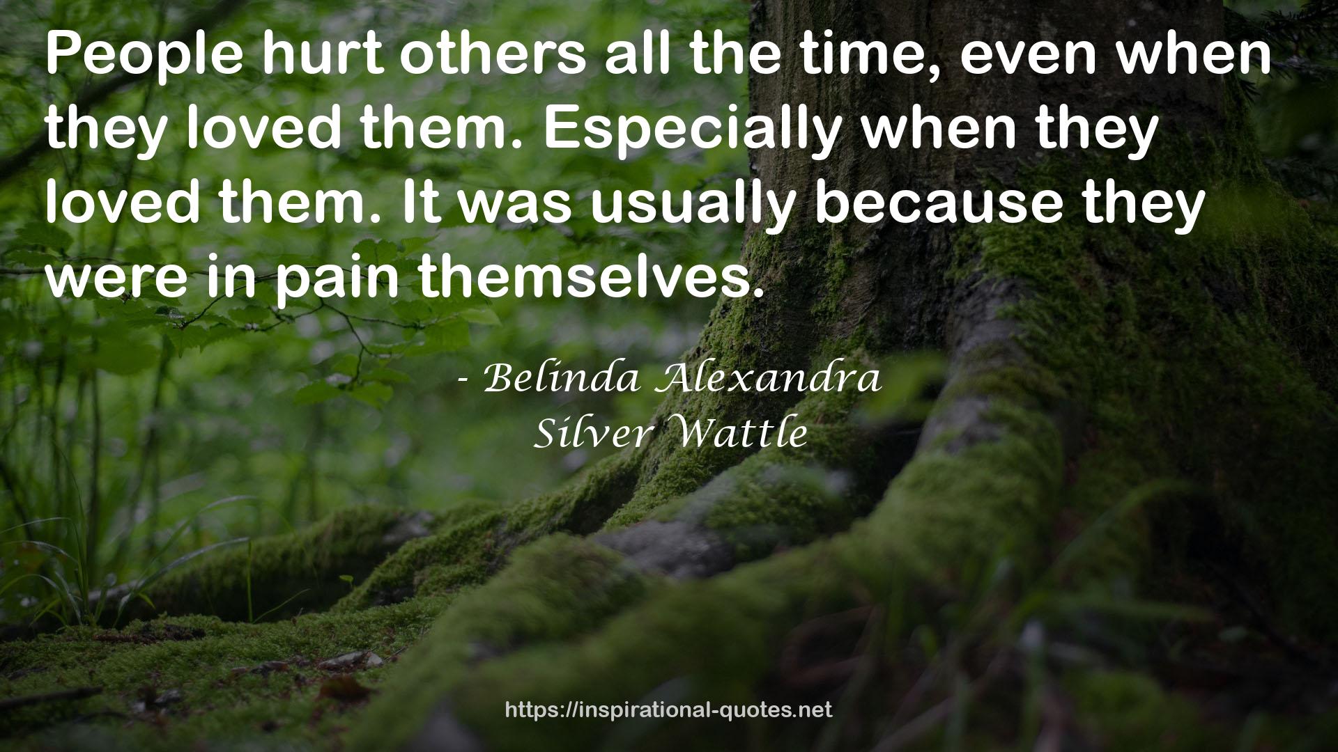 Silver Wattle QUOTES