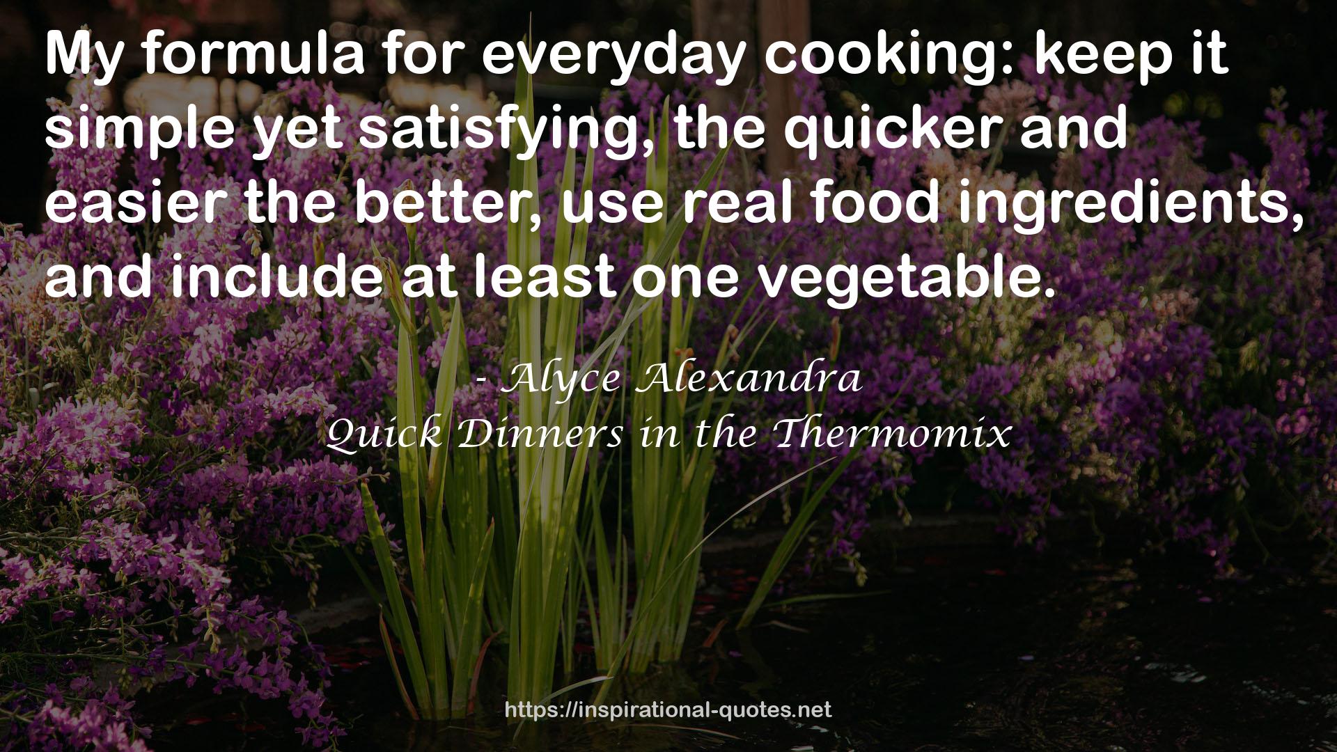 Quick Dinners in the Thermomix QUOTES