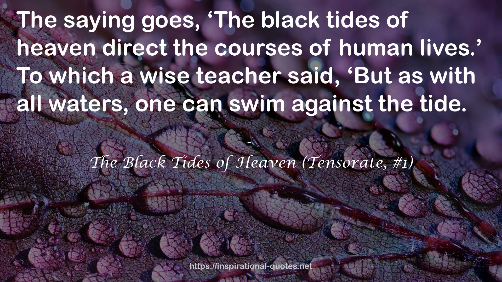 The Black Tides of Heaven (Tensorate, #1) QUOTES