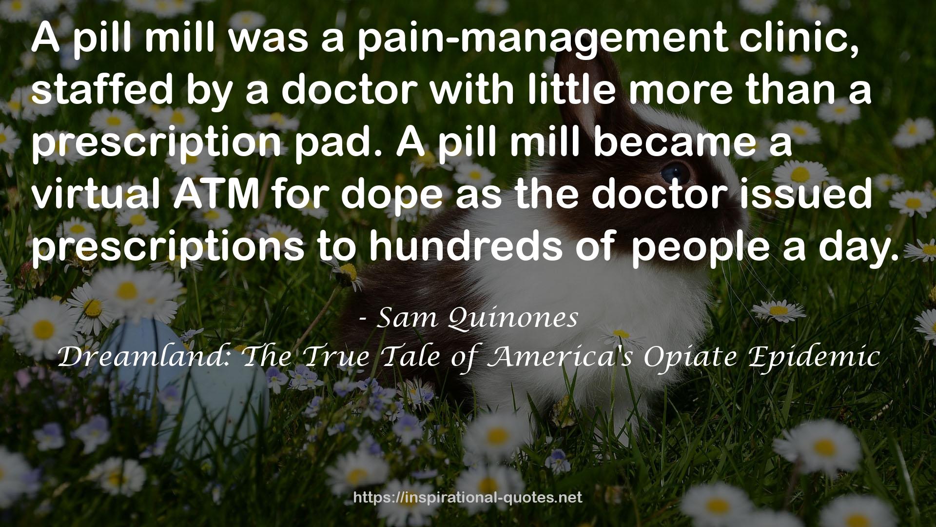 Sam Quinones QUOTES