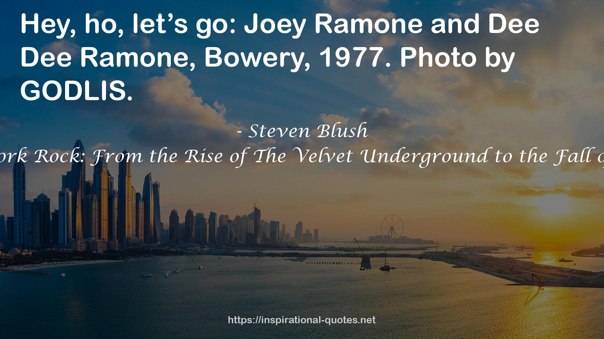 New York Rock: From the Rise of The Velvet Underground to the Fall of CBGB QUOTES