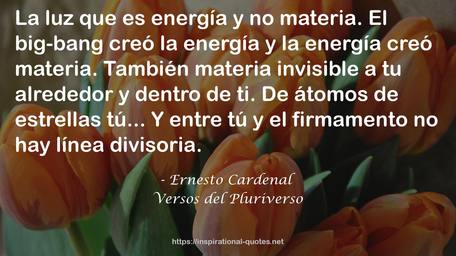 Versos del Pluriverso QUOTES