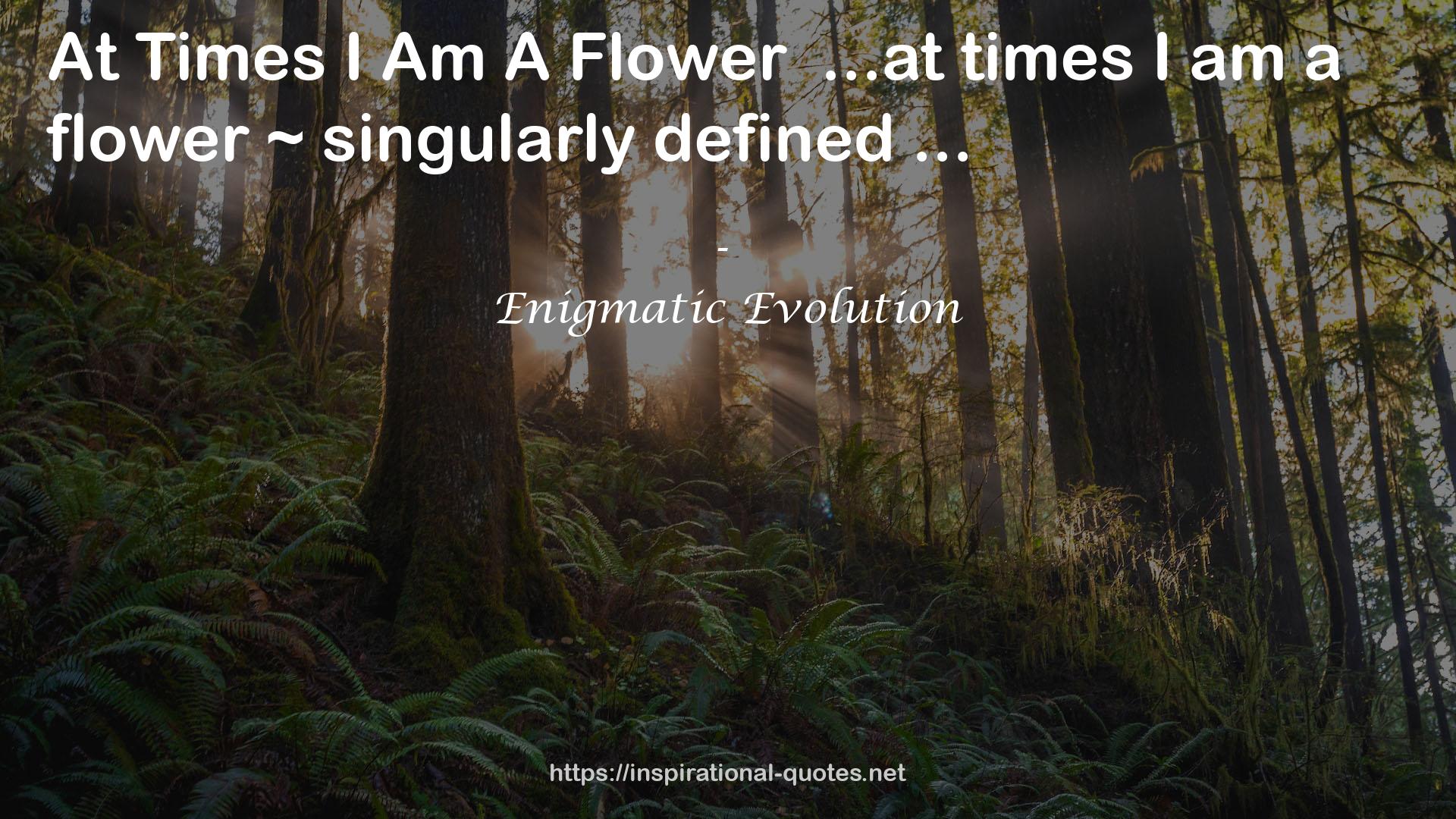 Times I Am A Flower  QUOTES