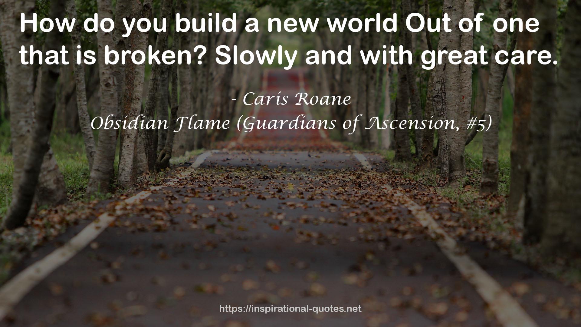 Obsidian Flame (Guardians of Ascension, #5) QUOTES