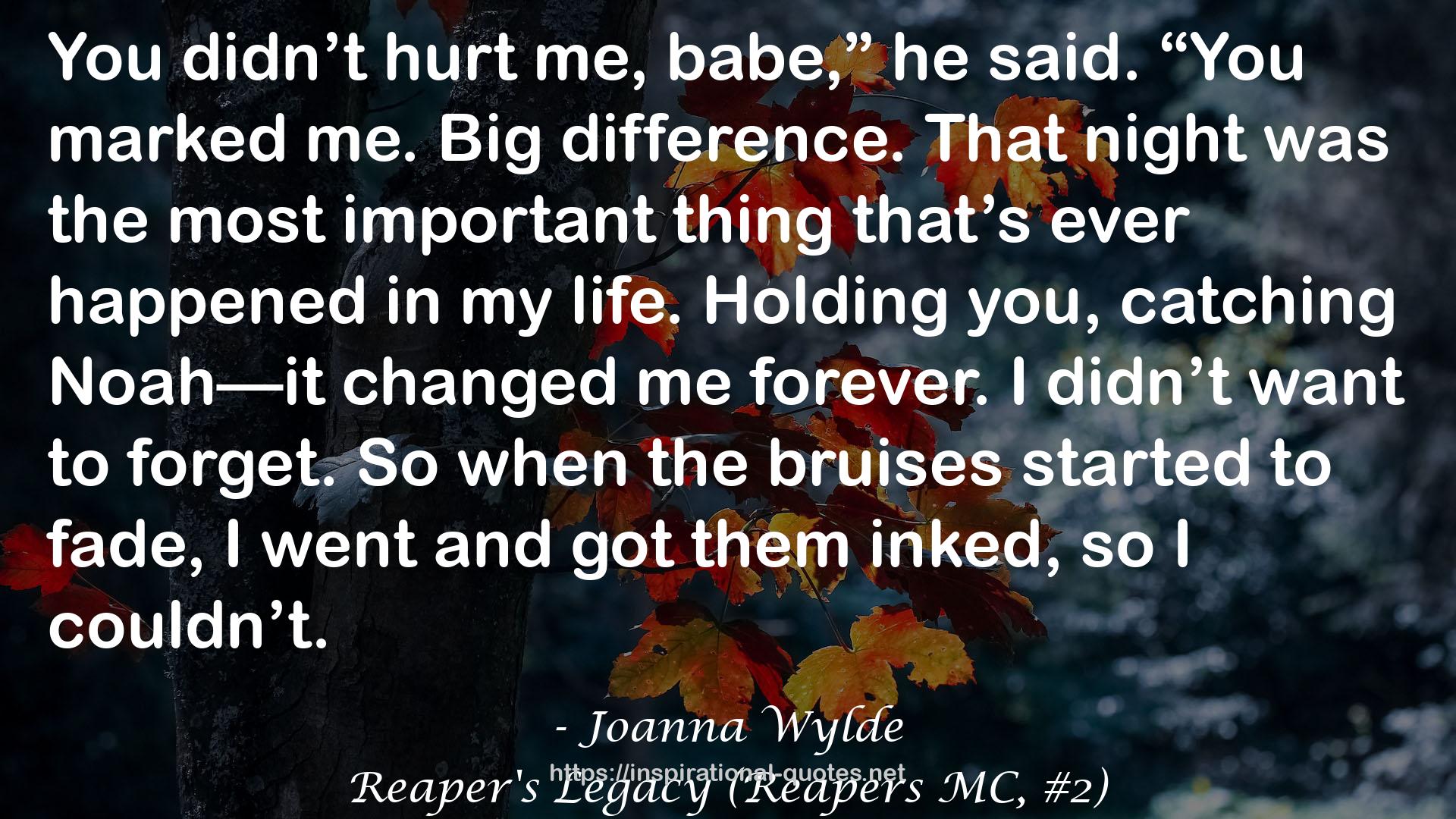 Joanna Wylde QUOTES