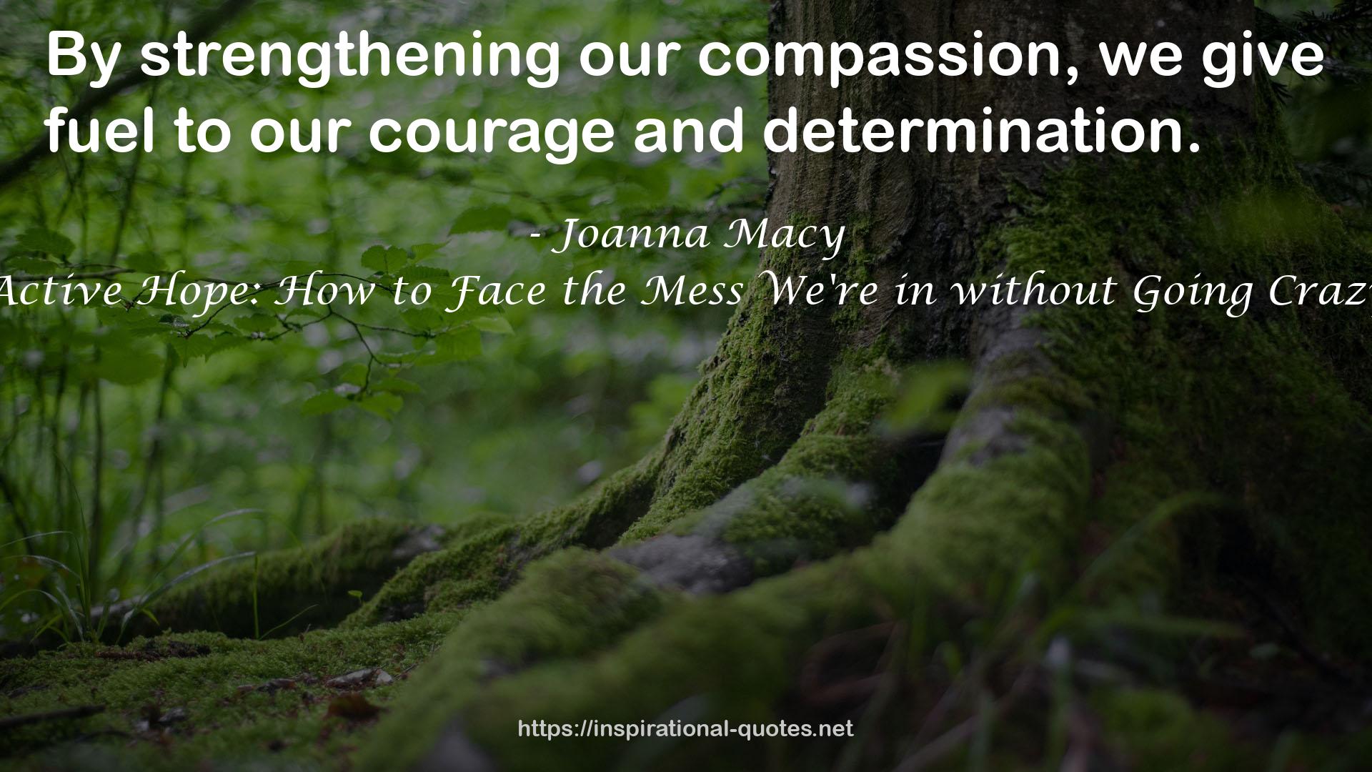 Active Hope: How to Face the Mess We're in without Going Crazy QUOTES