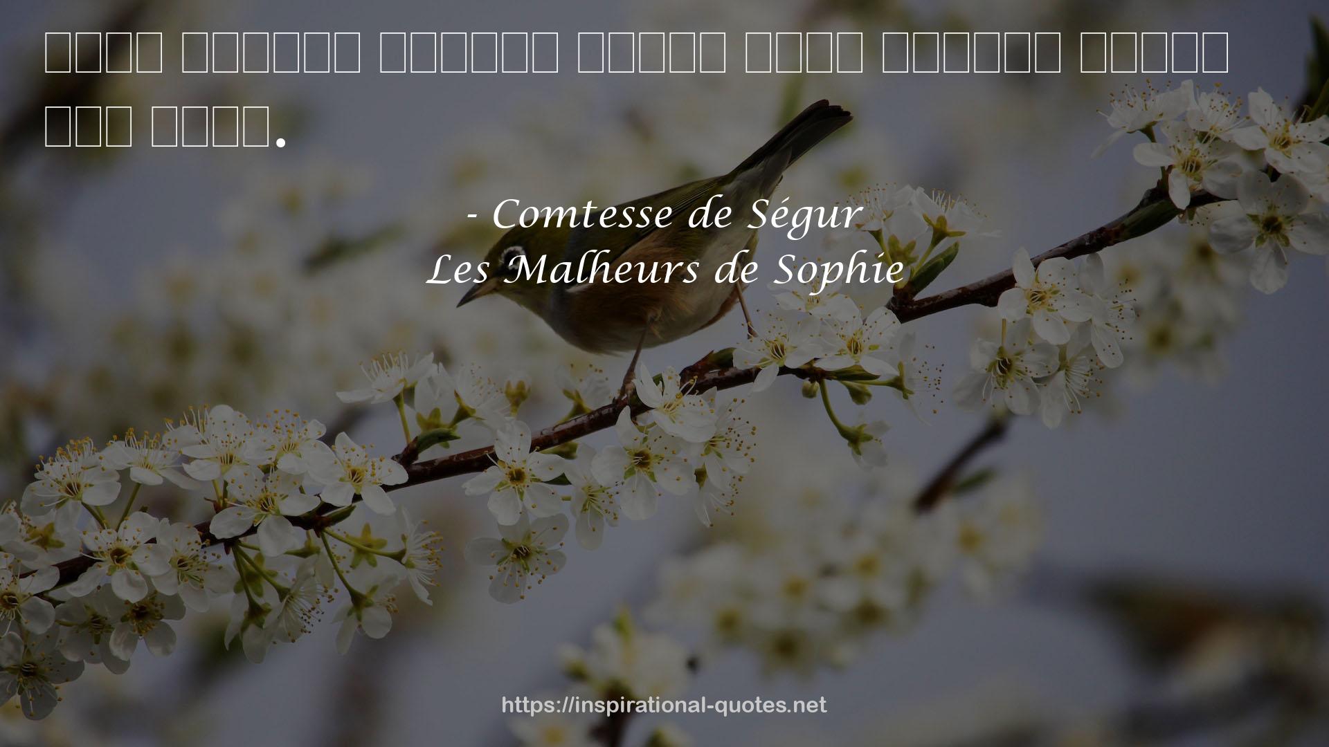 Les Malheurs de Sophie QUOTES