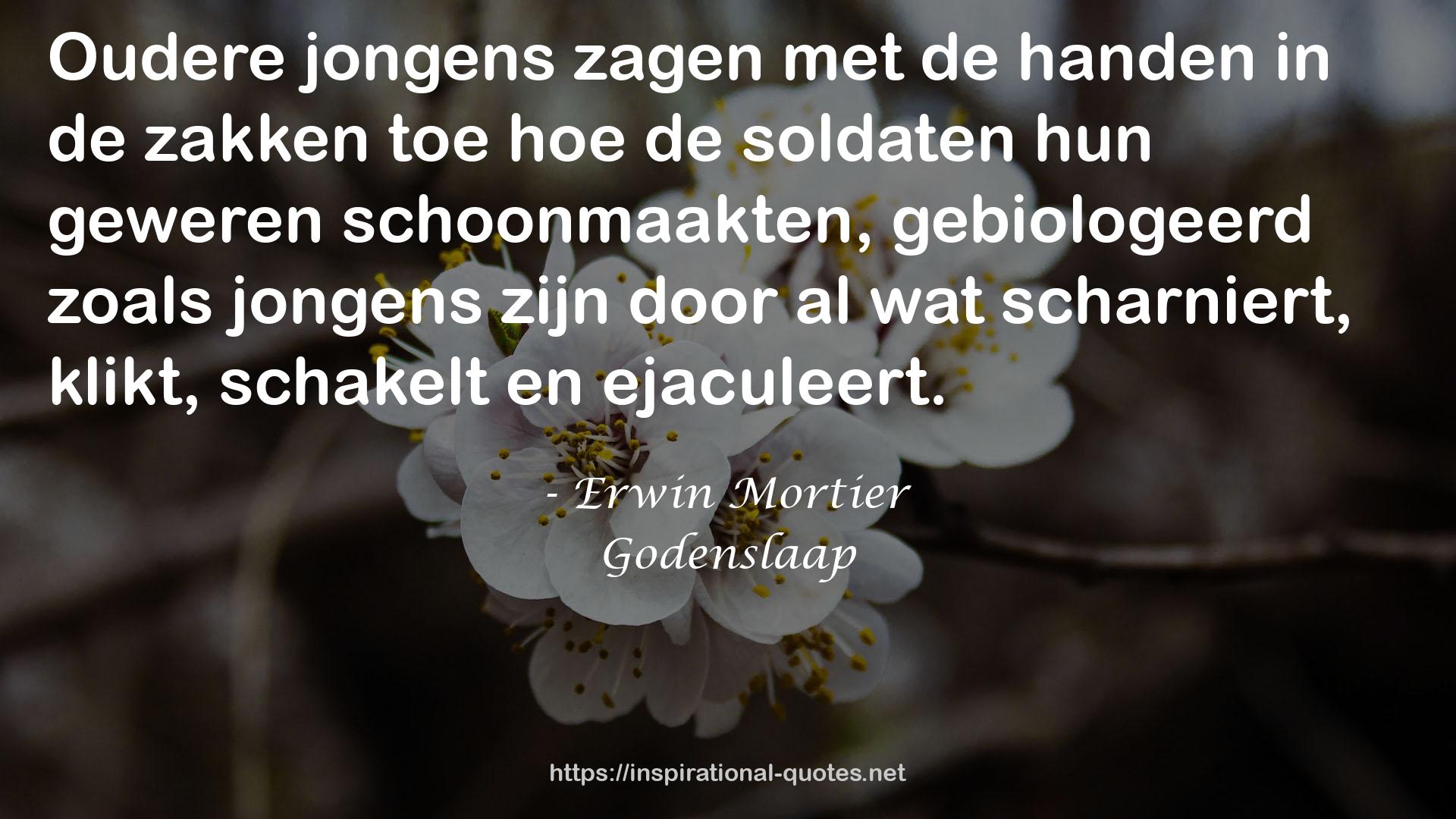 Erwin Mortier QUOTES