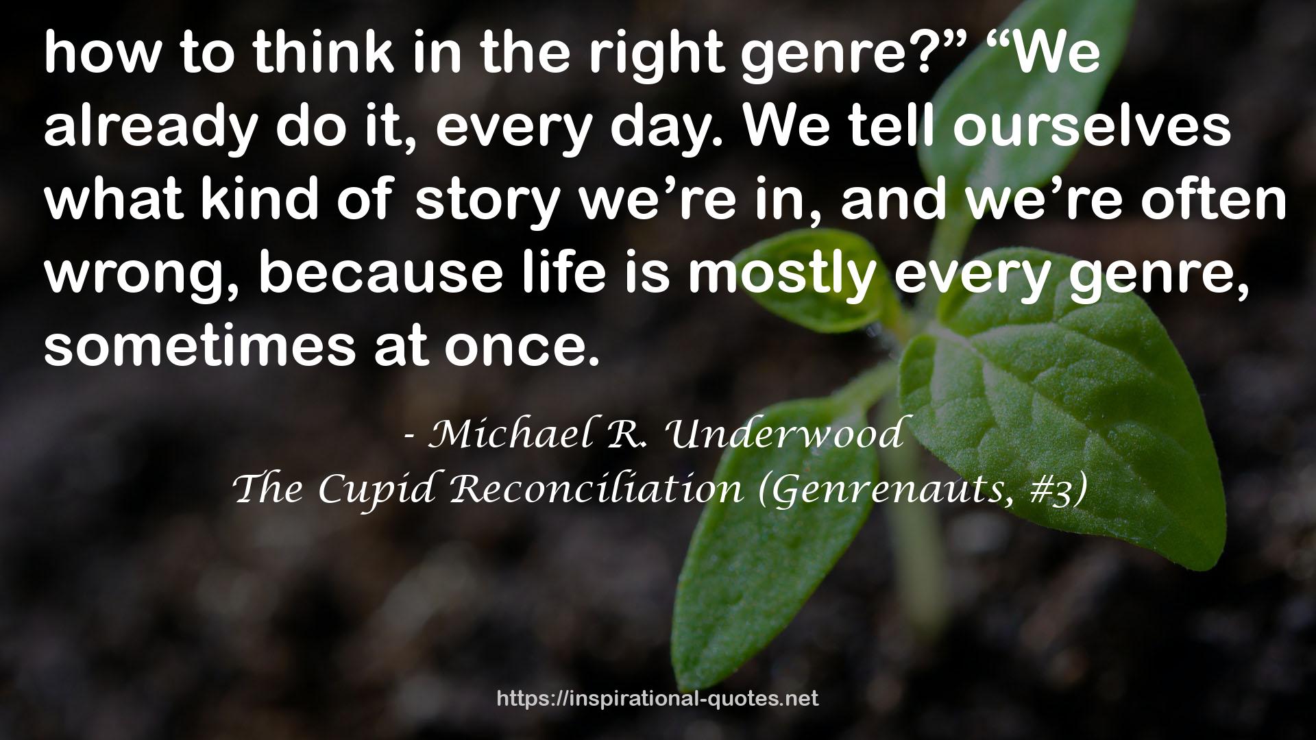 The Cupid Reconciliation (Genrenauts, #3) QUOTES