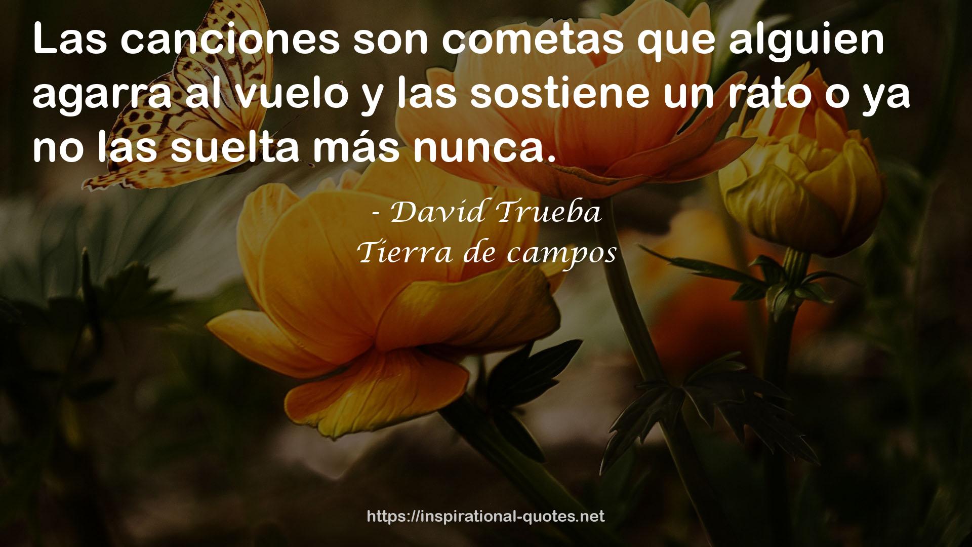 Tierra de campos QUOTES