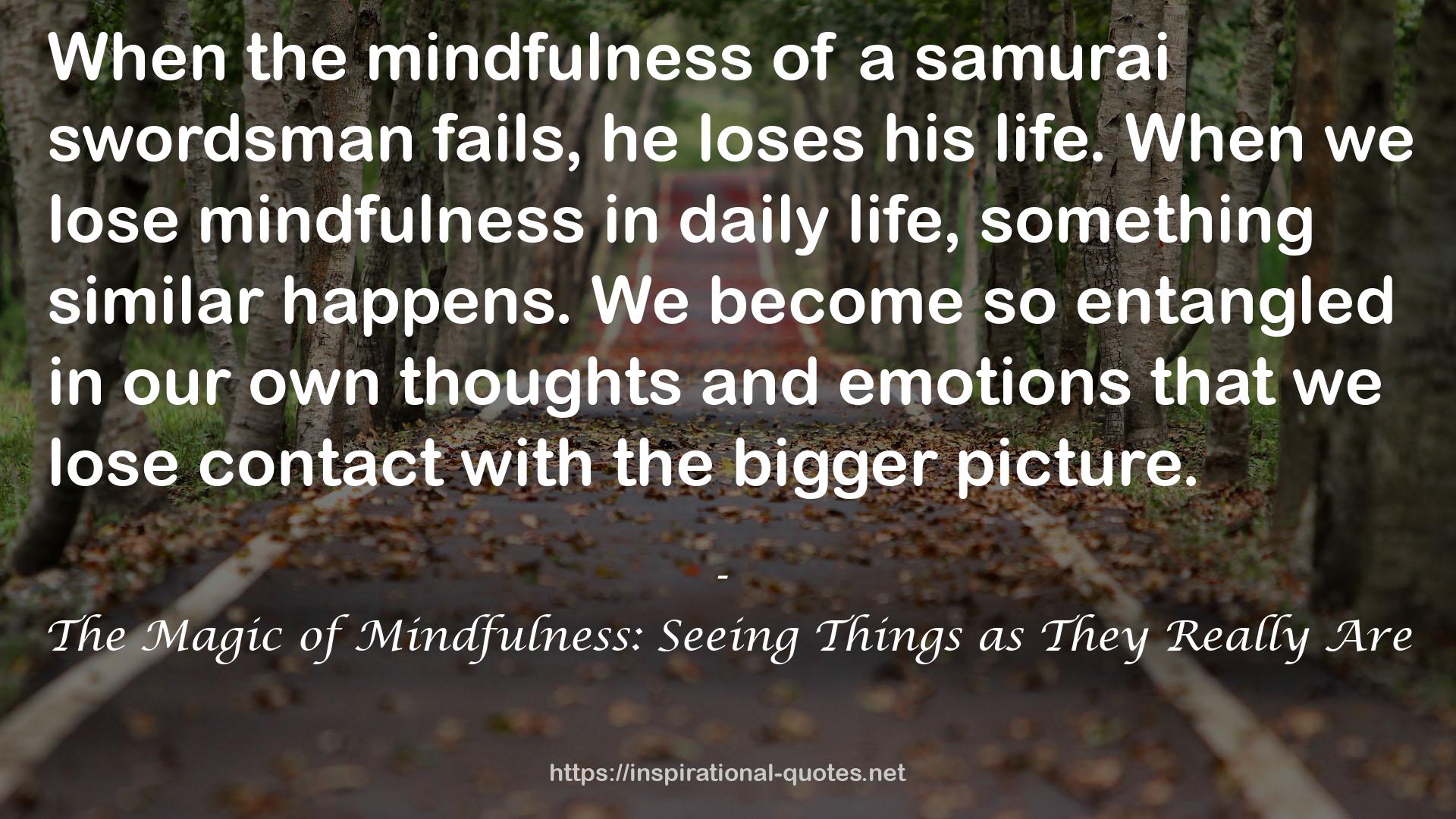 The Magic of Mindfulness: Seeing Things as They Really Are QUOTES