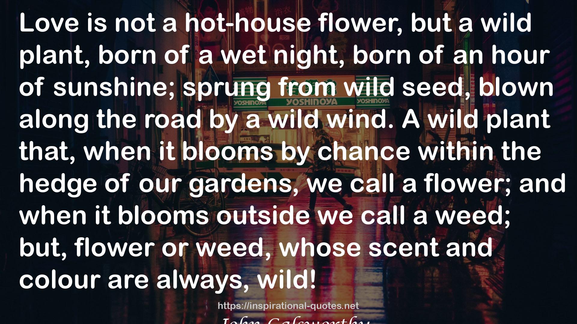 a wild plant  QUOTES