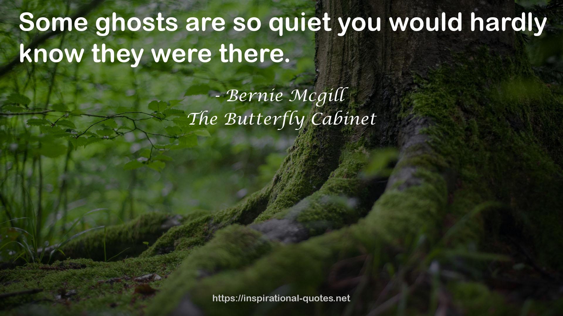 The Butterfly Cabinet QUOTES