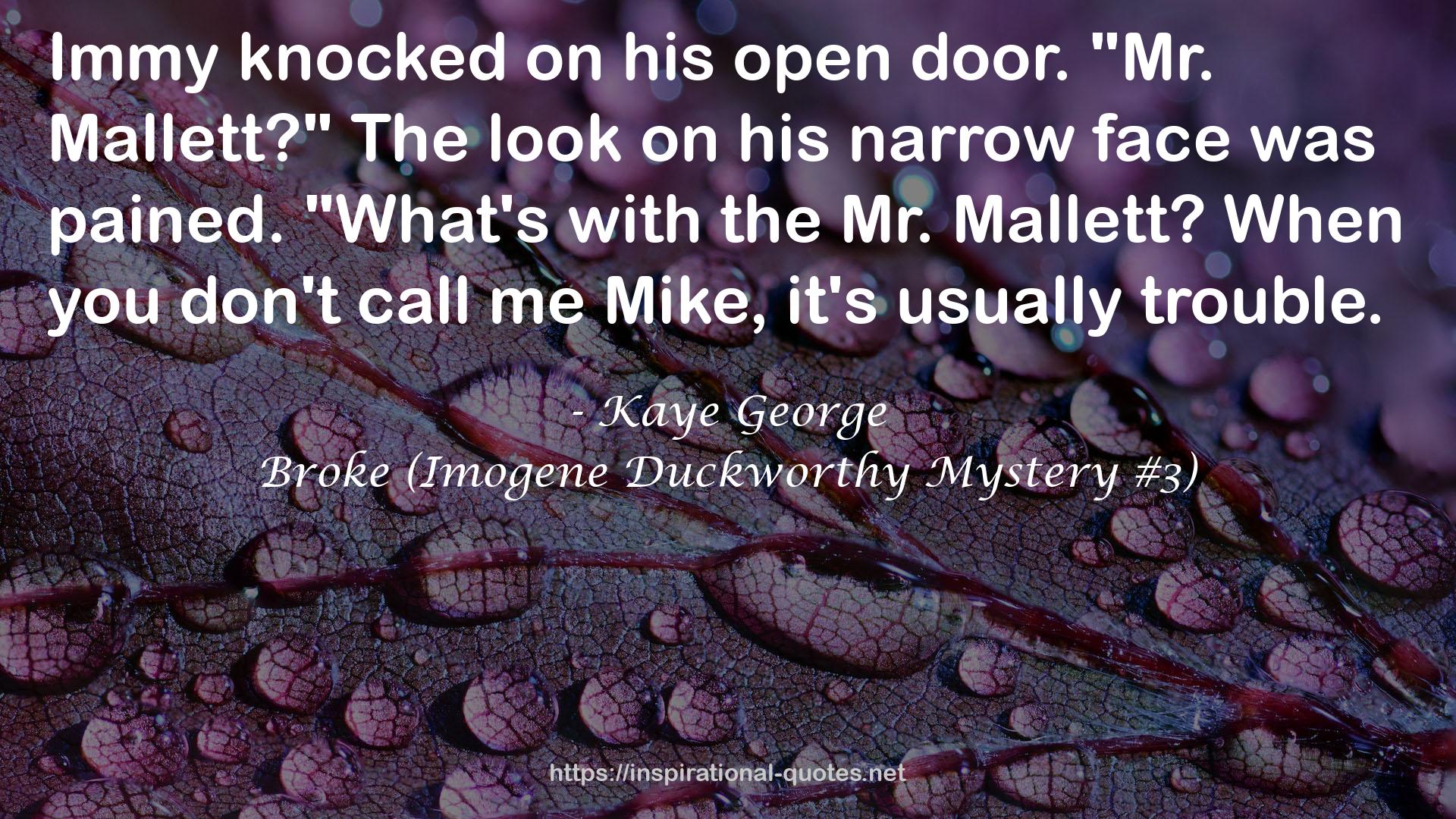 Broke (Imogene Duckworthy Mystery #3) QUOTES