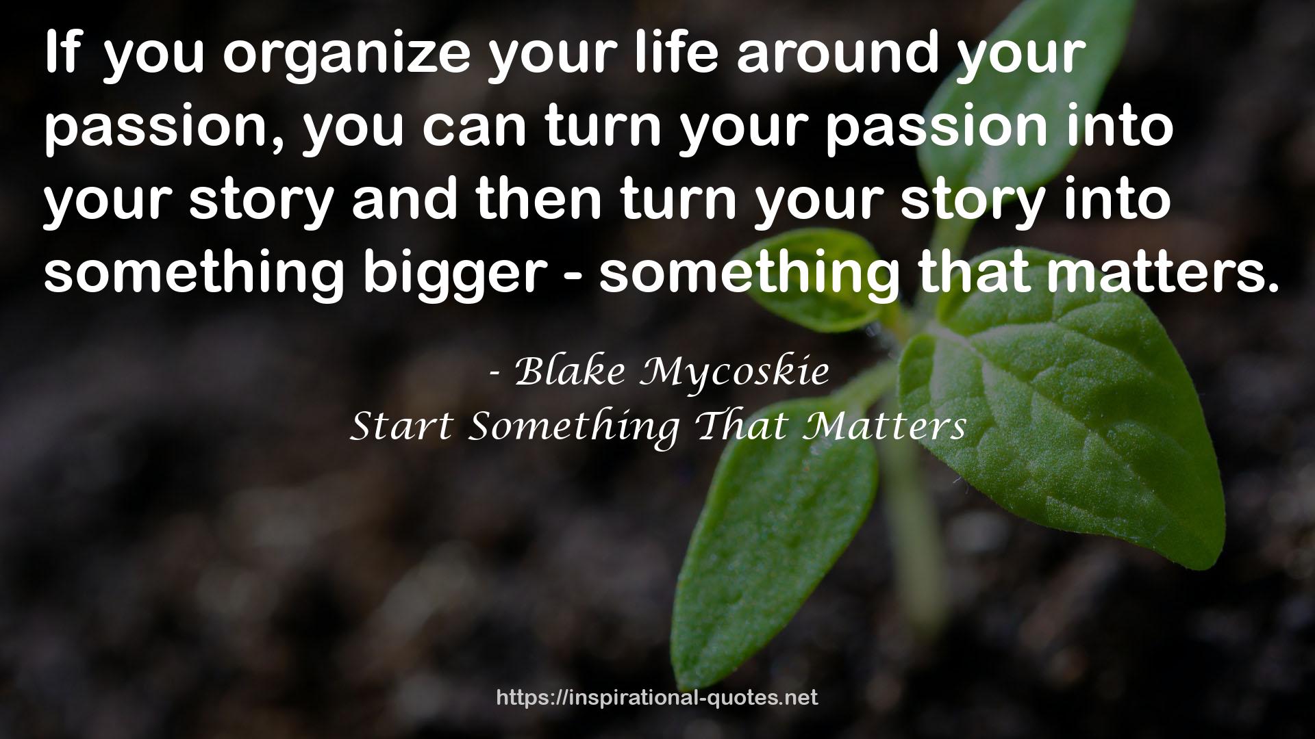 Blake Mycoskie QUOTES