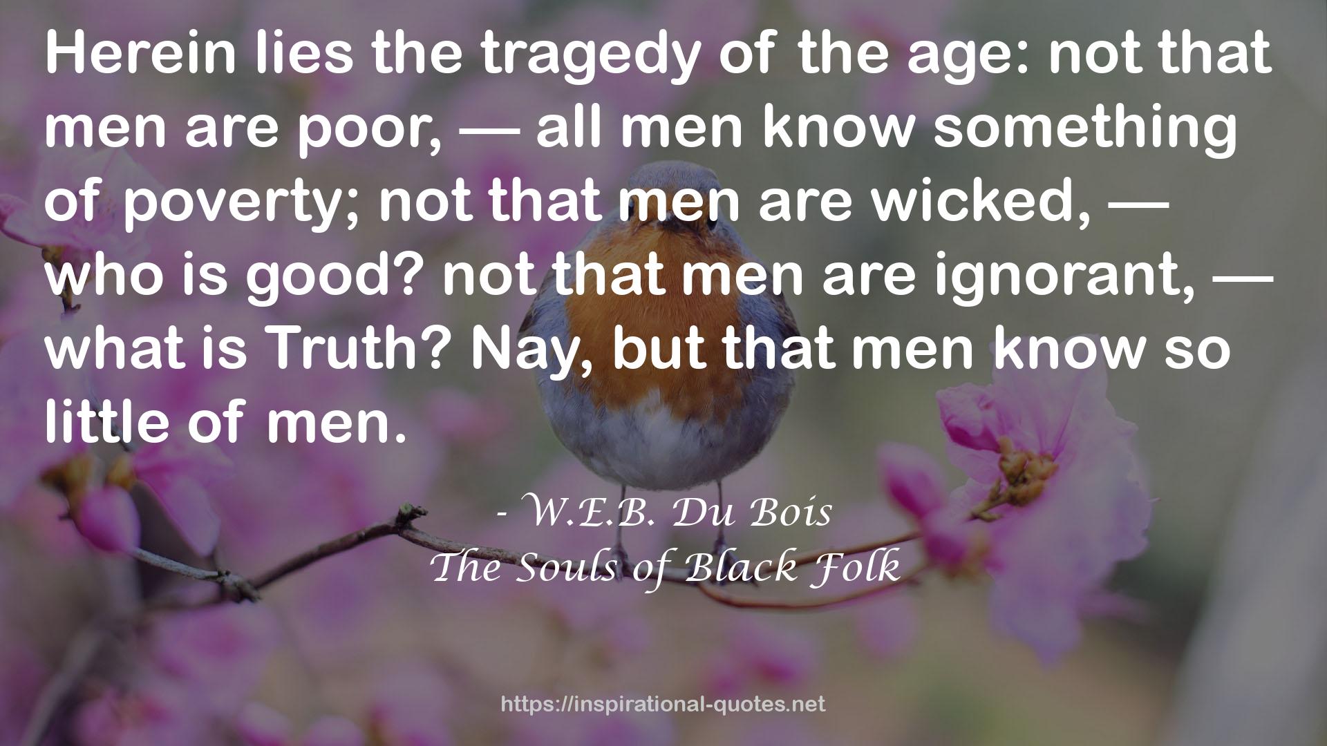 The Souls of Black Folk QUOTES