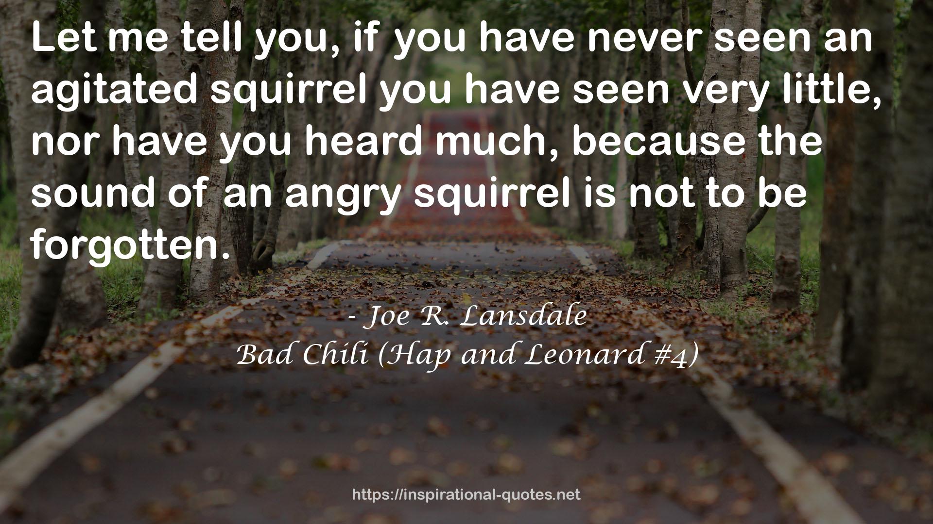 Bad Chili (Hap and Leonard #4) QUOTES