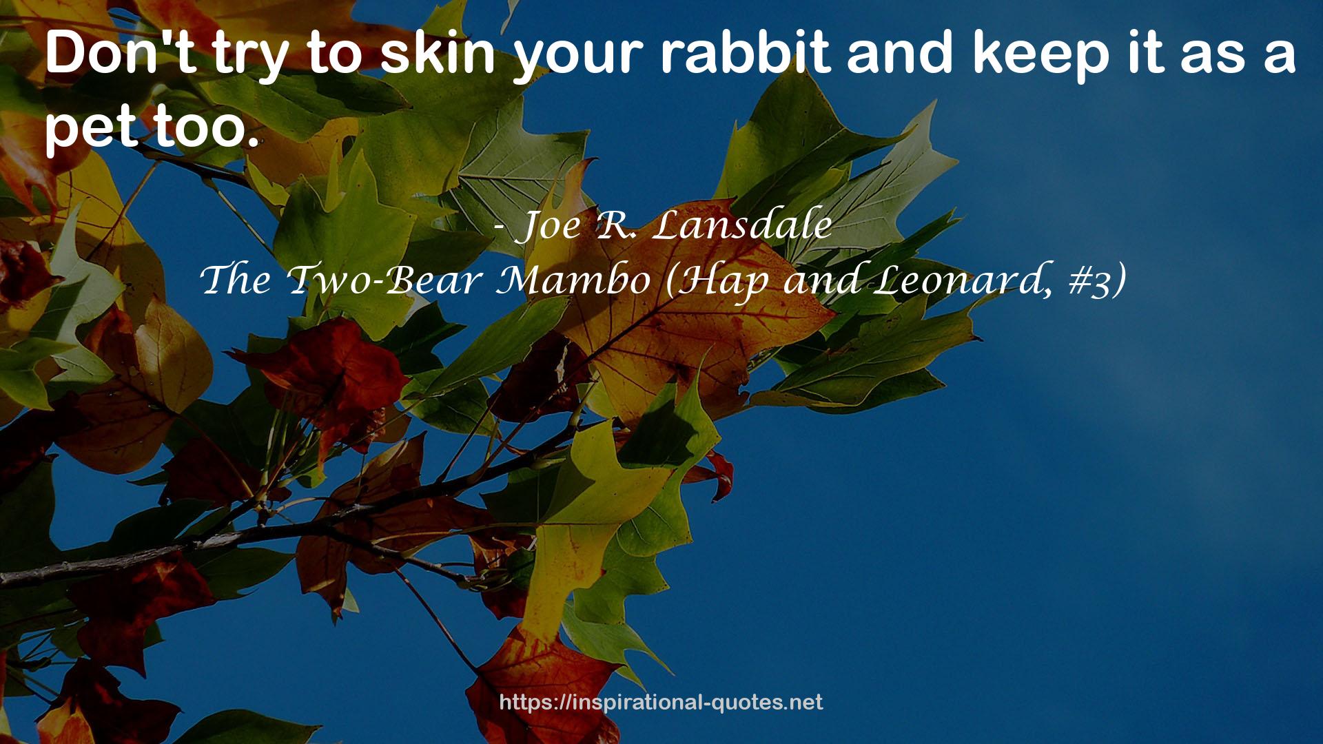 The Two-Bear Mambo (Hap and Leonard, #3) QUOTES