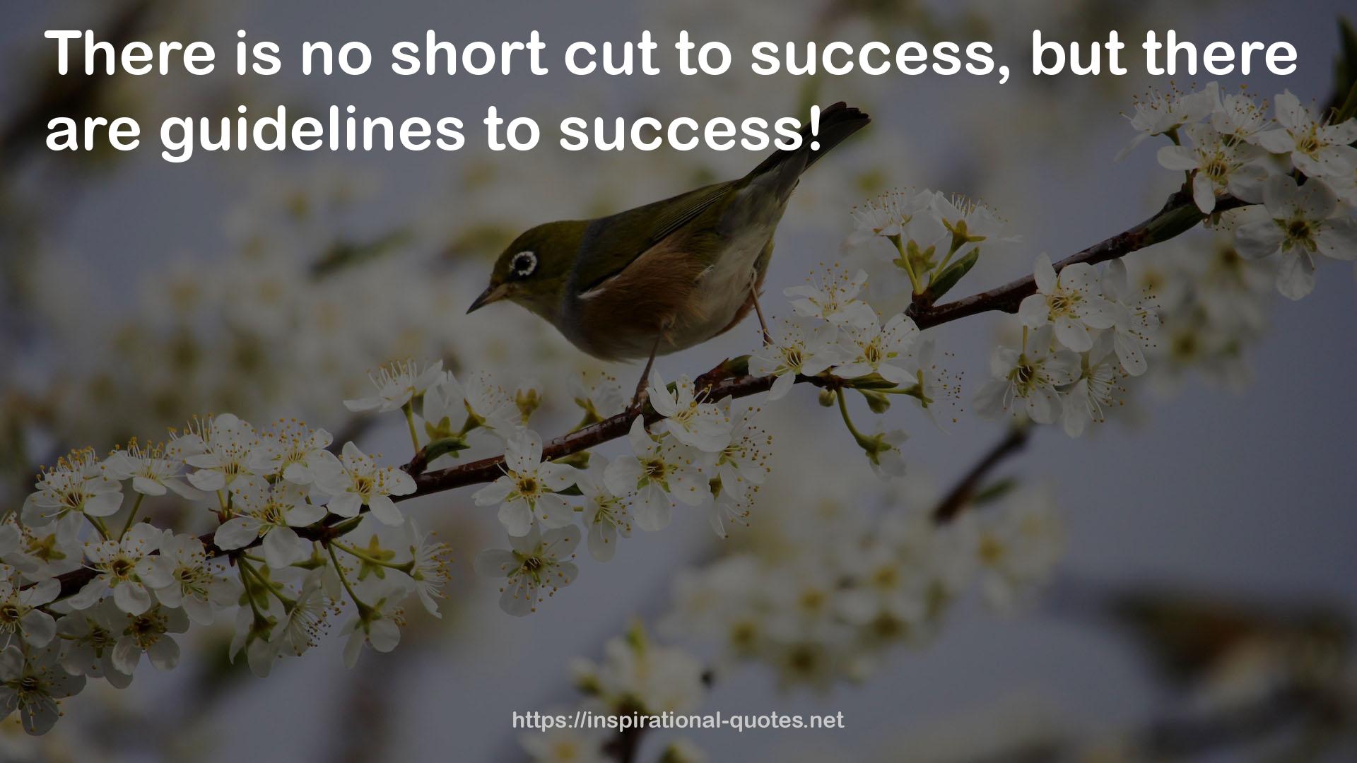 no short cut  QUOTES