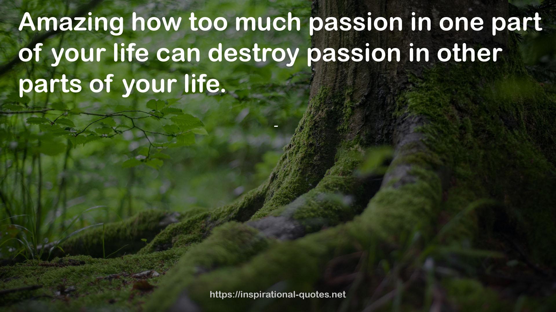 how too much passion  QUOTES