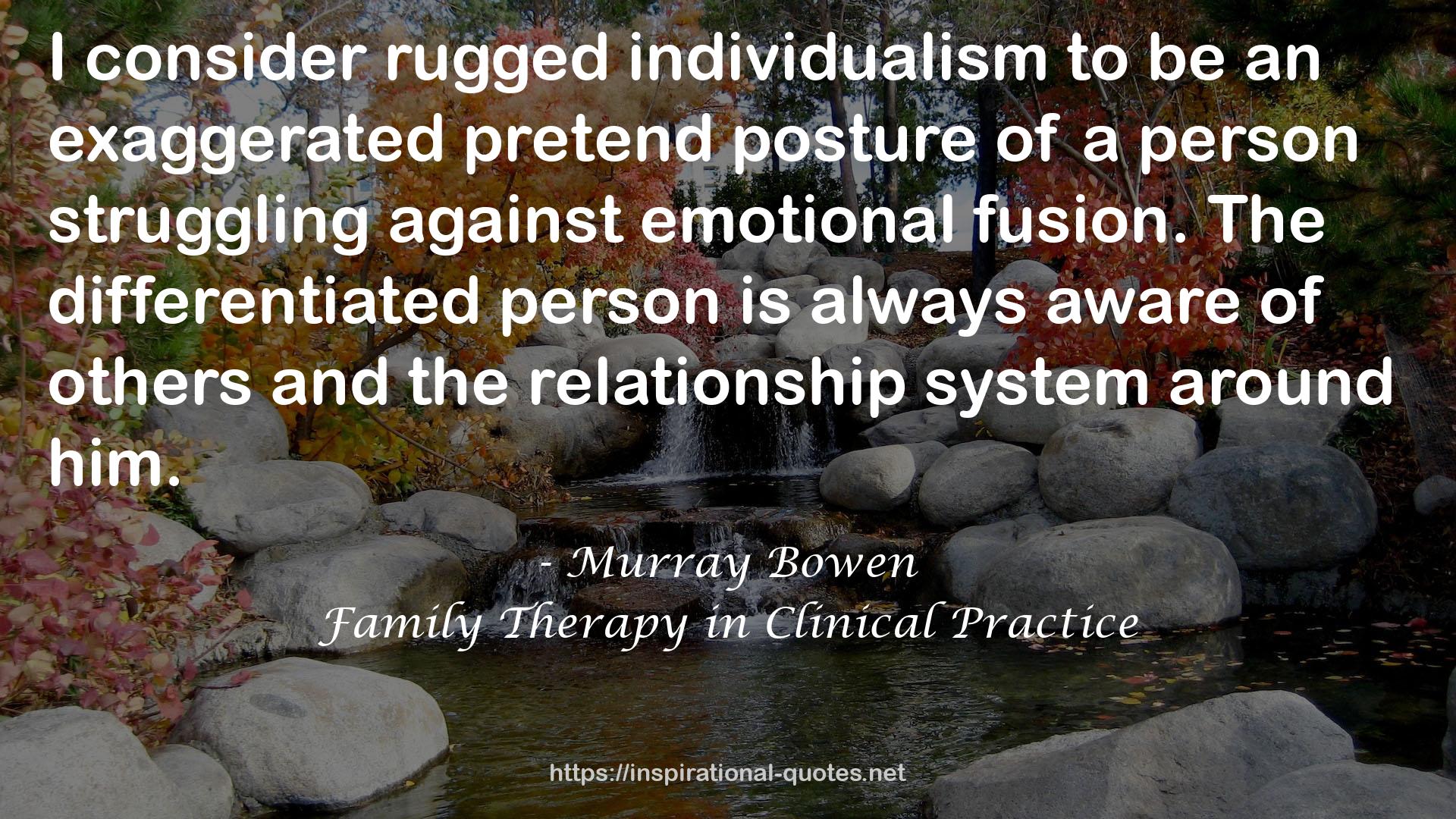 Family Therapy in Clinical Practice QUOTES