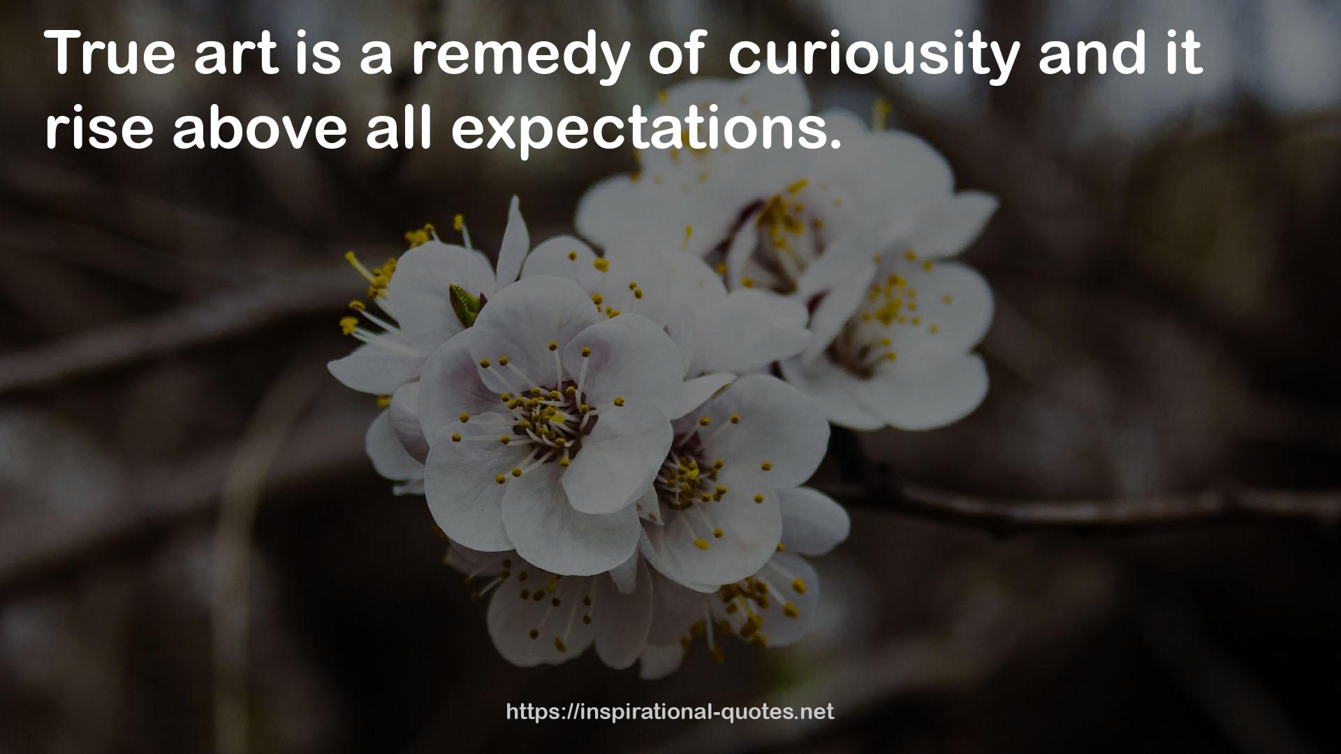 curiousity  QUOTES