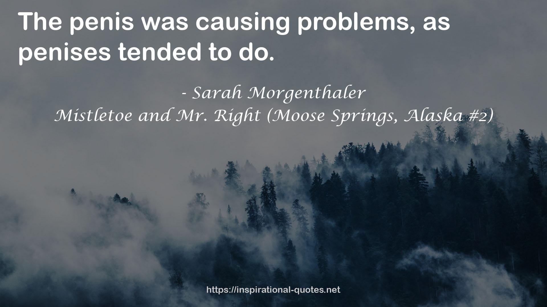 Mistletoe and Mr. Right (Moose Springs, Alaska #2) QUOTES