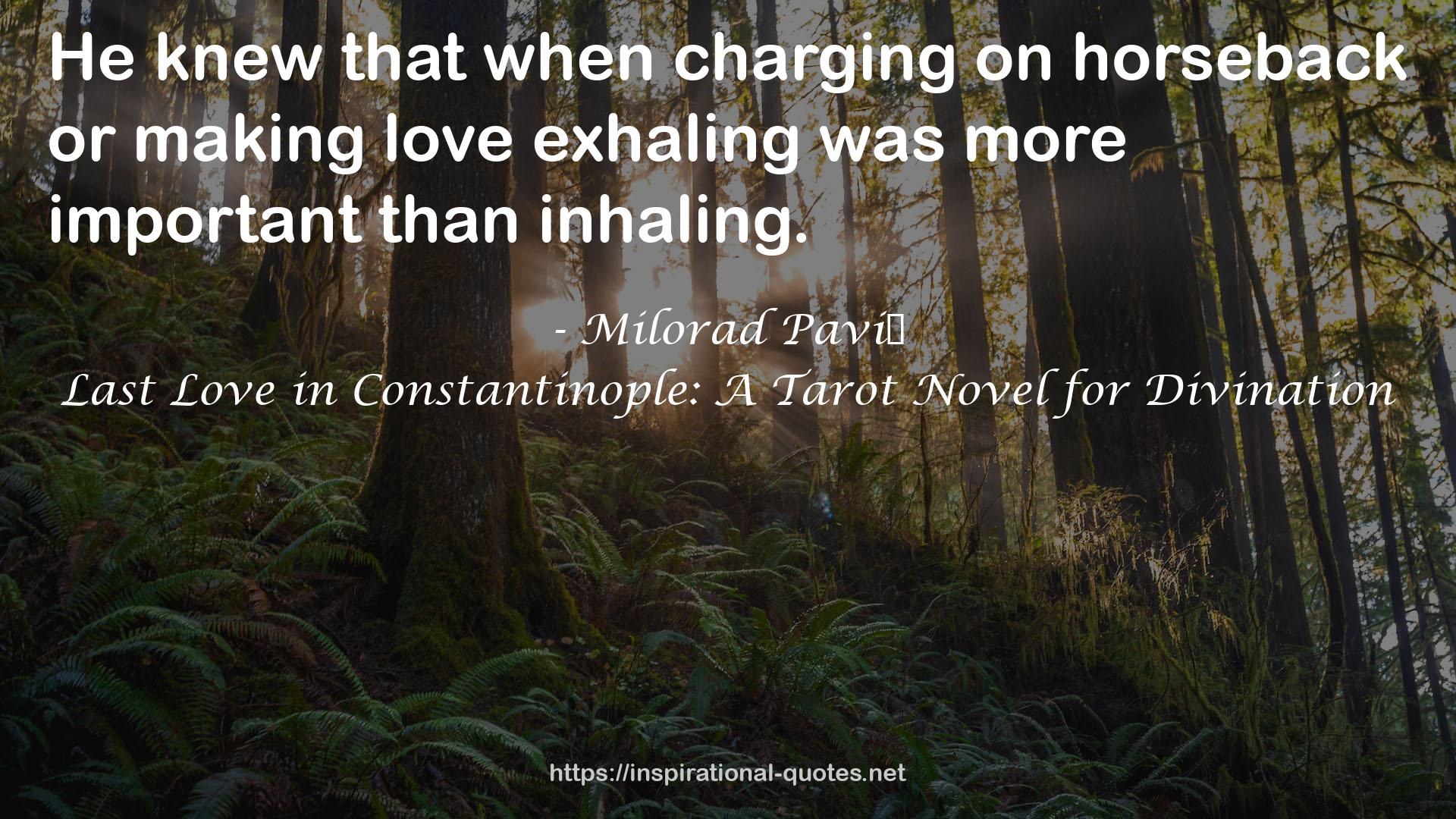 Last Love in Constantinople: A Tarot Novel for Divination QUOTES