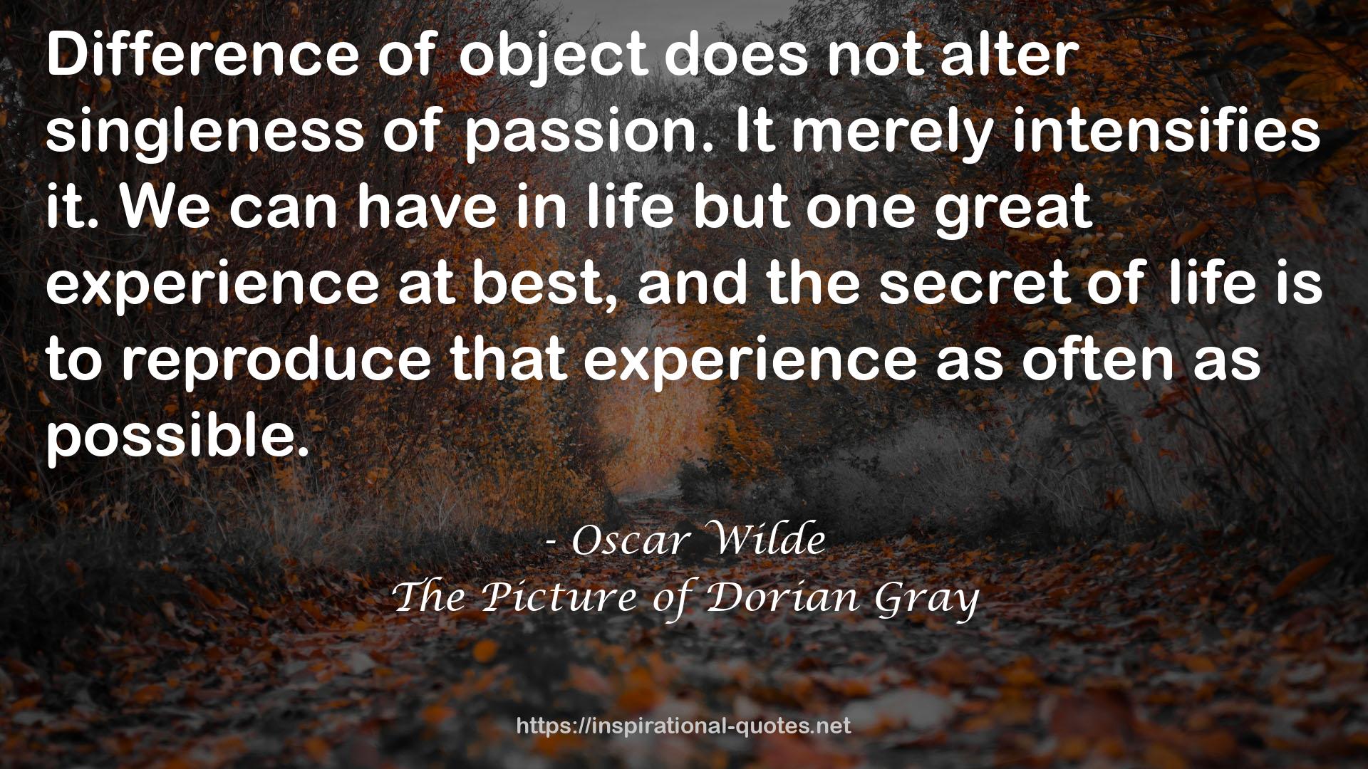 one great experience  QUOTES