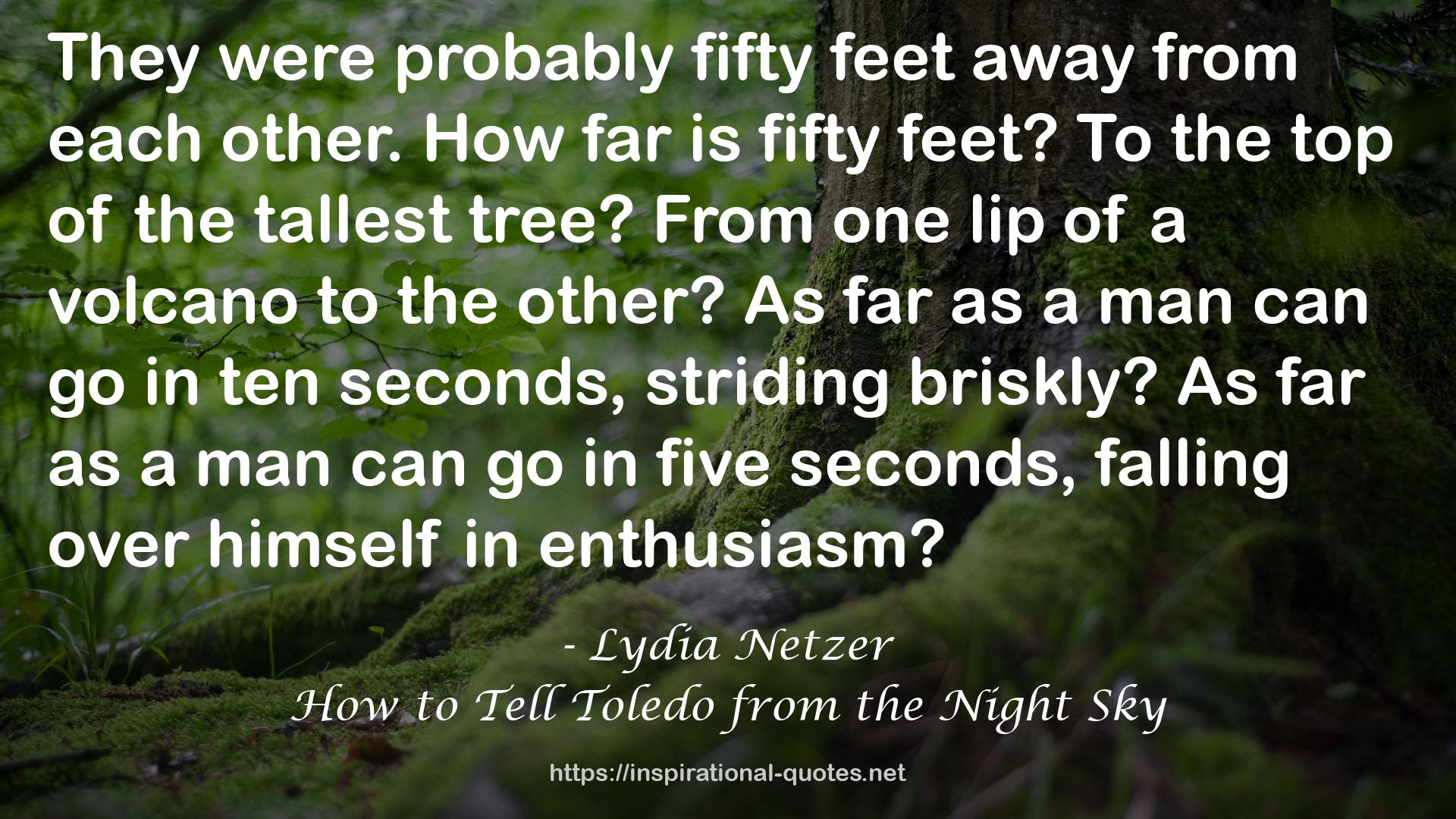 Lydia Netzer QUOTES