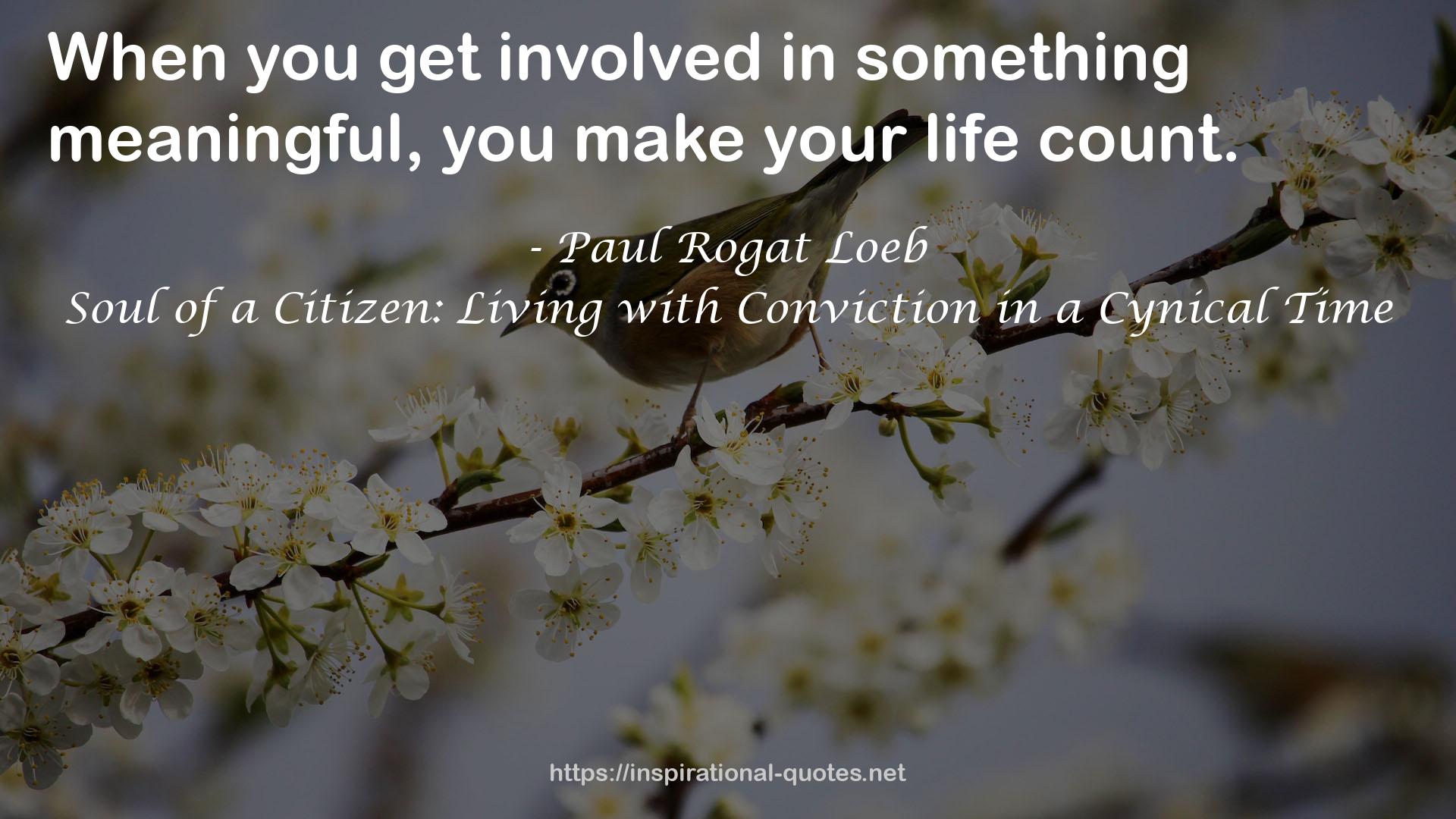 Soul of a Citizen: Living with Conviction in a Cynical Time QUOTES