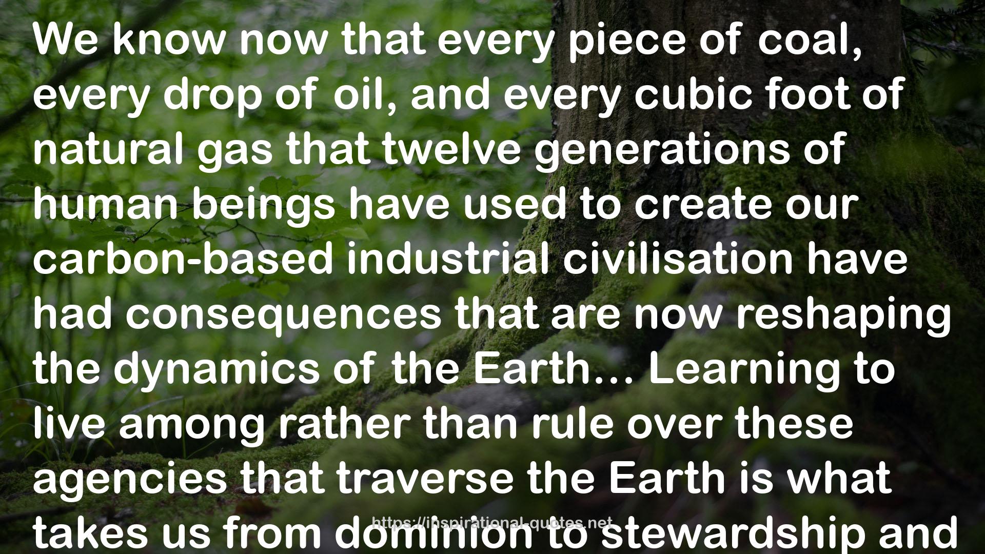 The Green New Deal: Why the Fossil Fuel Civilization Will Collapse by 2028, and the Bold Economic Plan to Save Life on Earth QUOTES