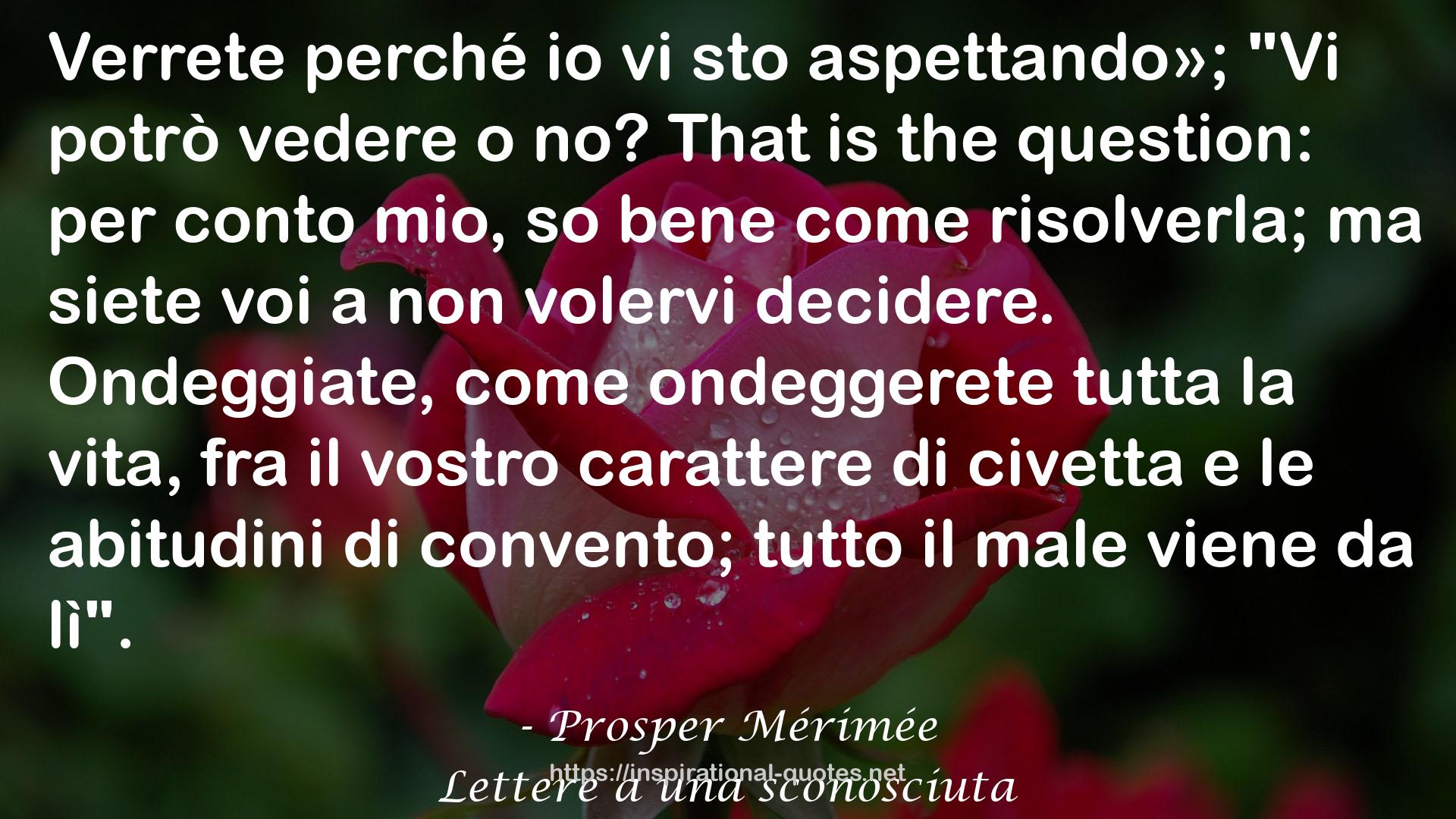 Lettere a una sconosciuta QUOTES