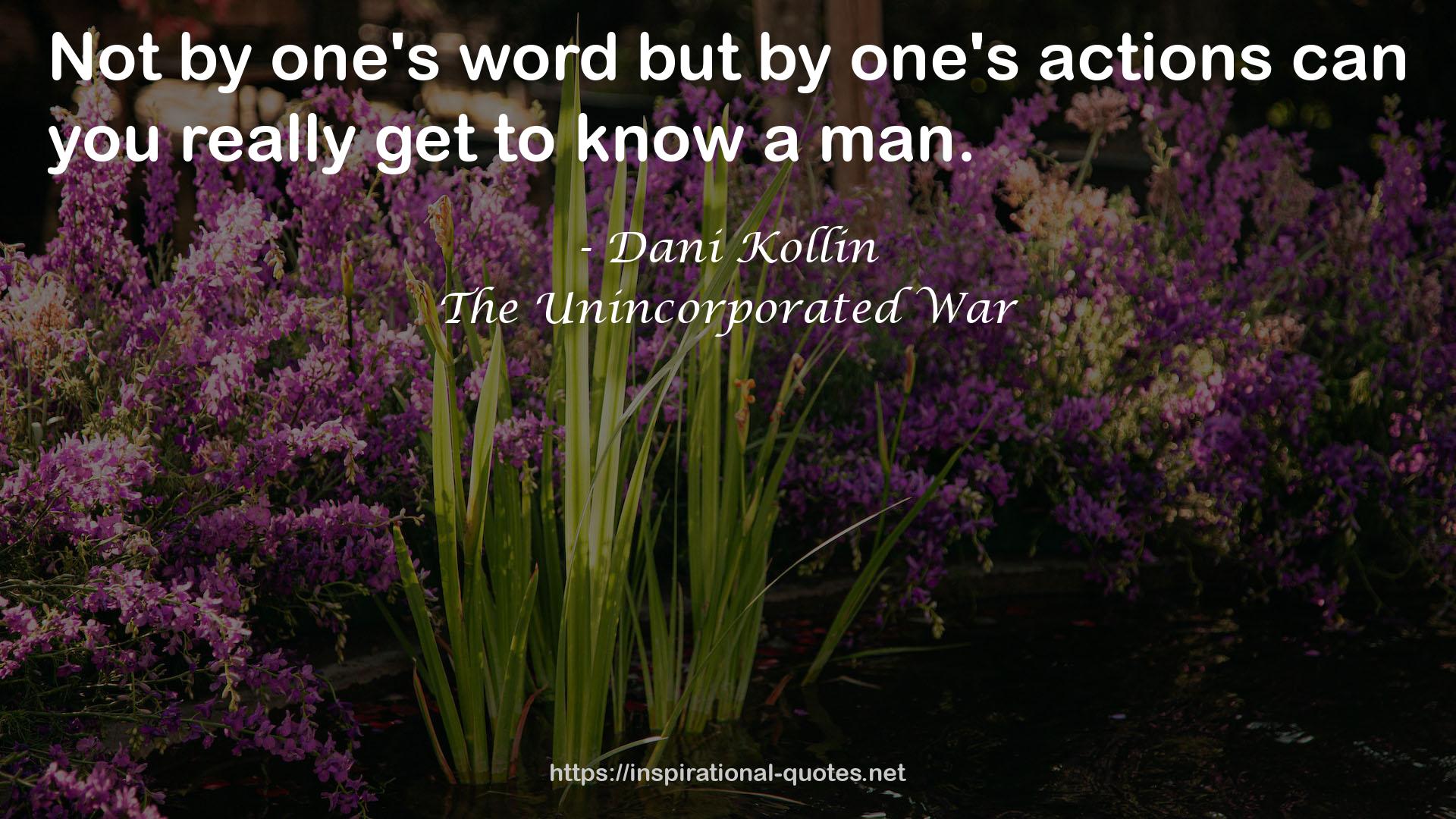 The Unincorporated War QUOTES