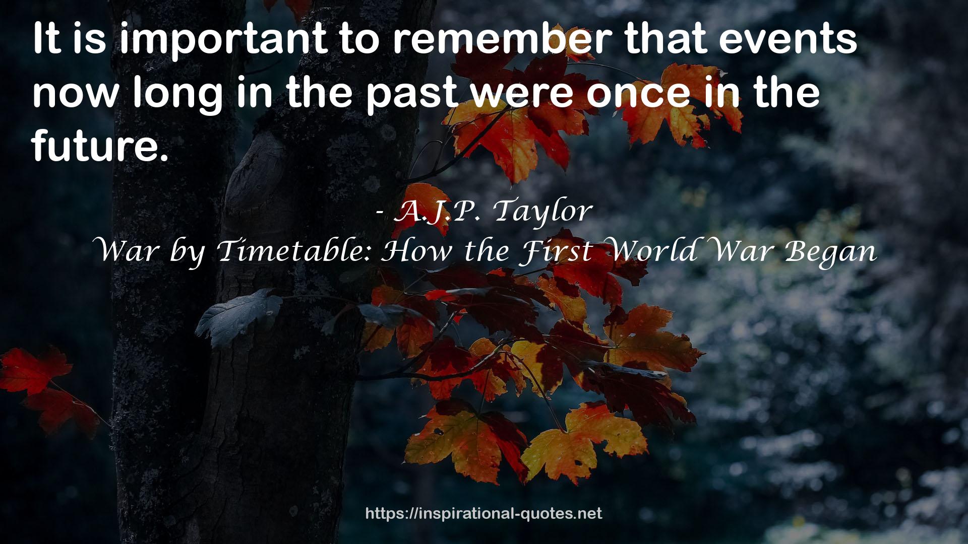 War by Timetable: How the First World War Began QUOTES