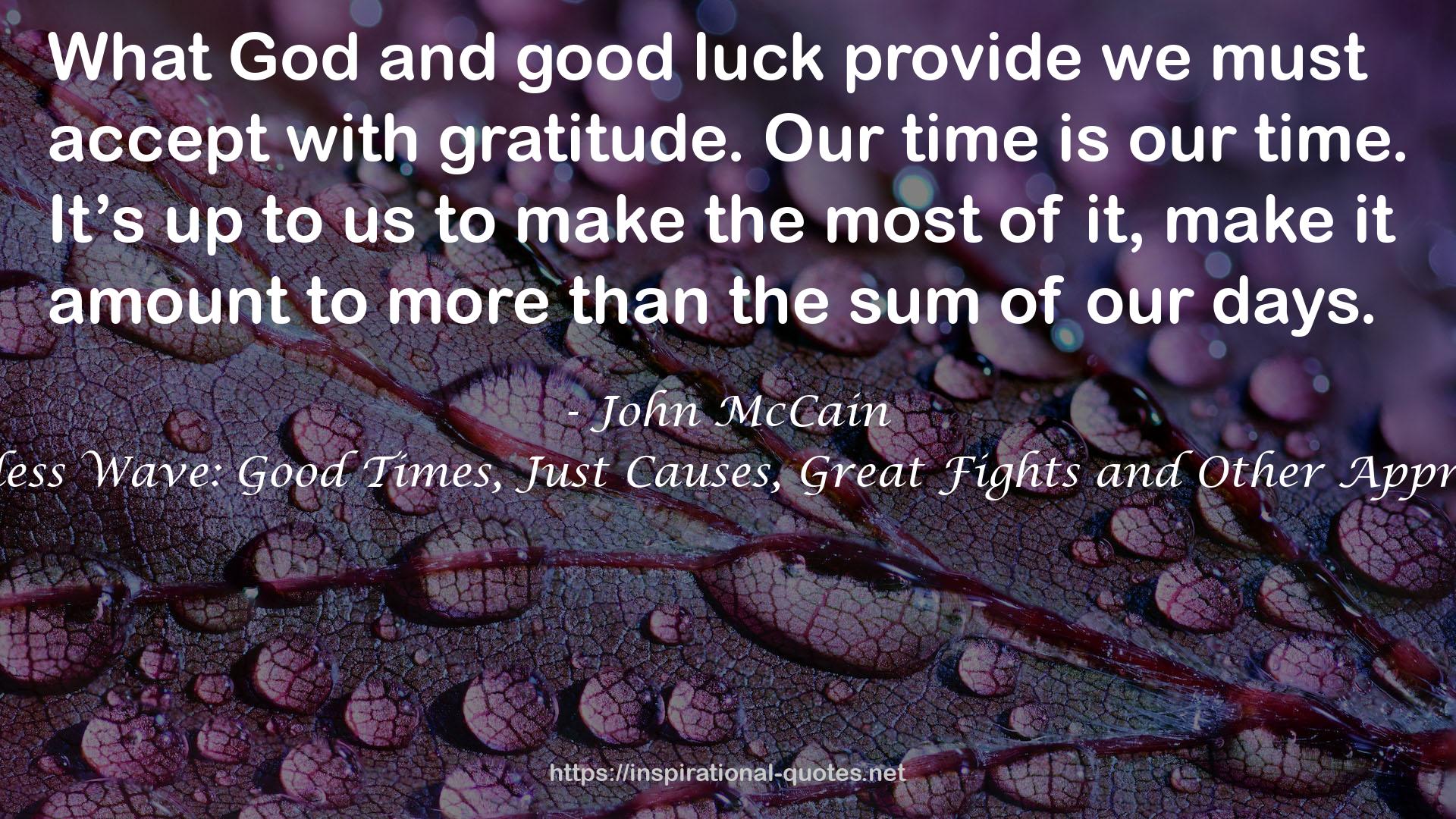 John McCain QUOTES