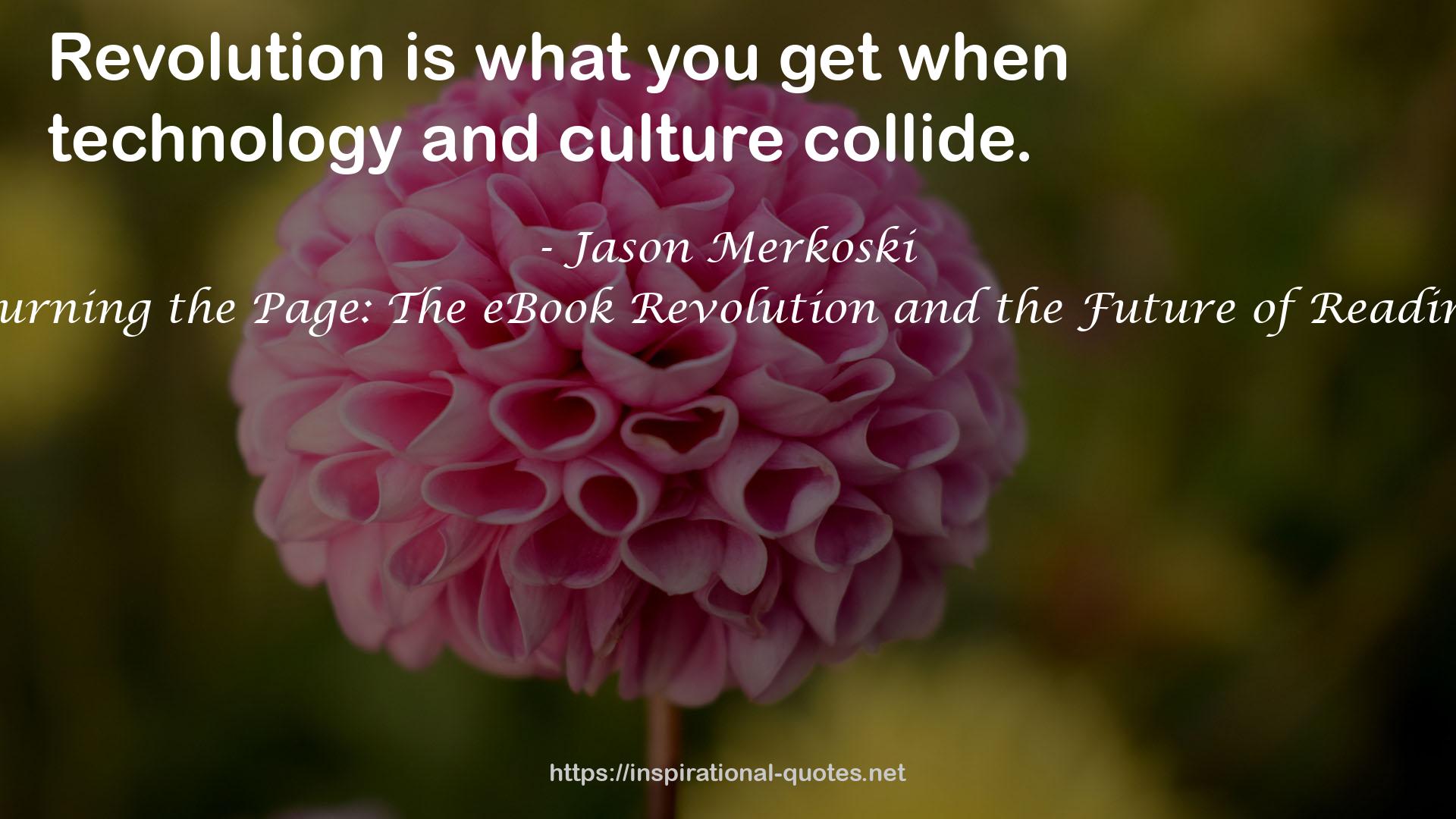Burning the Page: The eBook Revolution and the Future of Reading QUOTES
