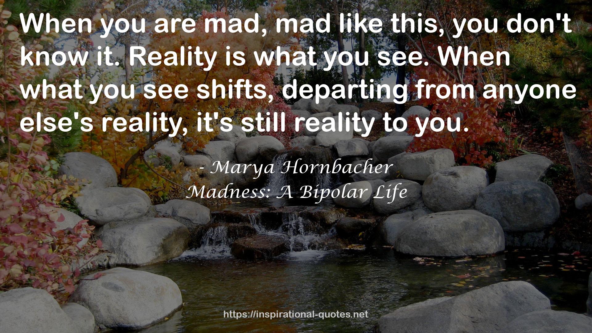 Madness: A Bipolar Life QUOTES