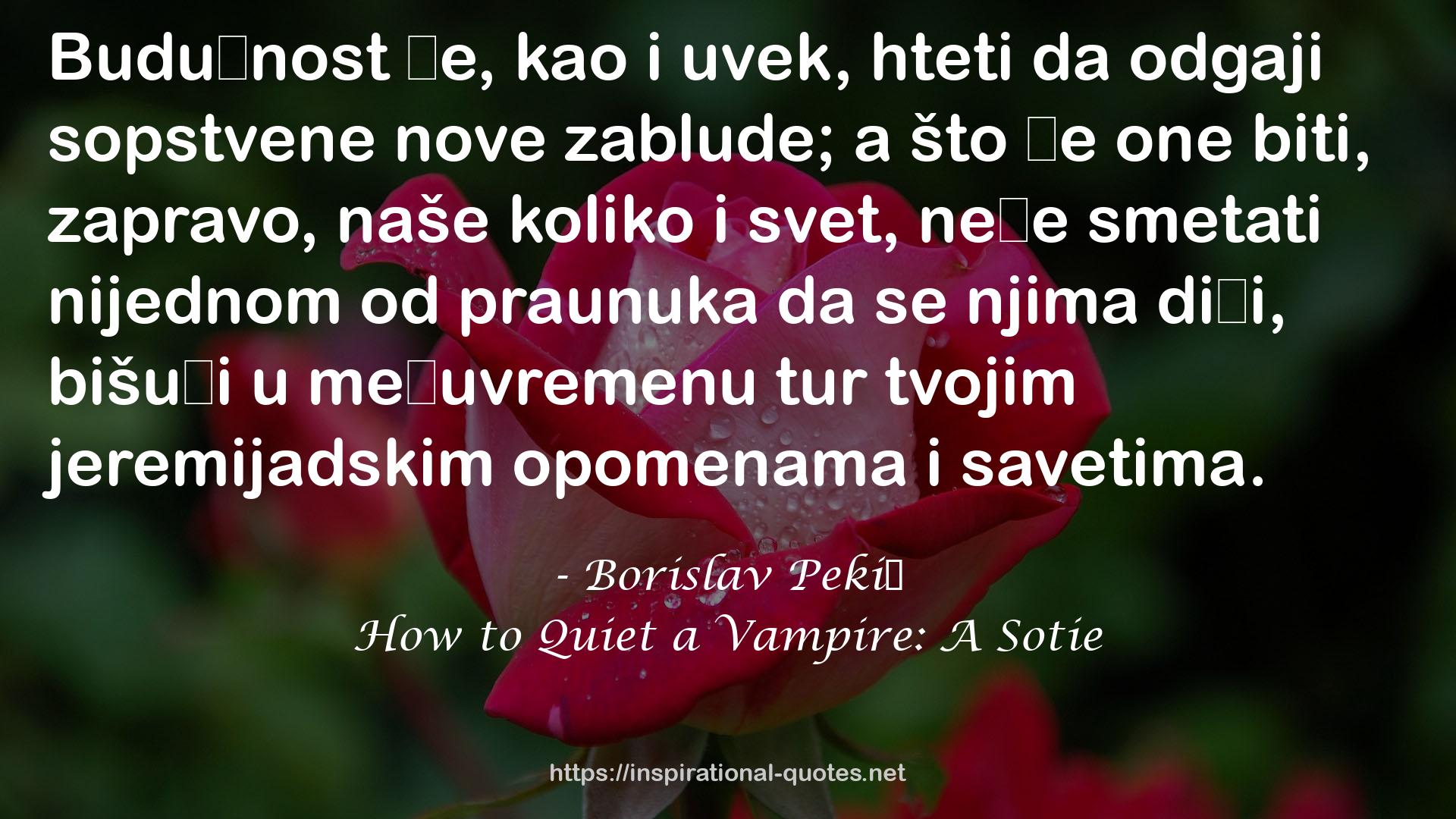 How to Quiet a Vampire: A Sotie QUOTES