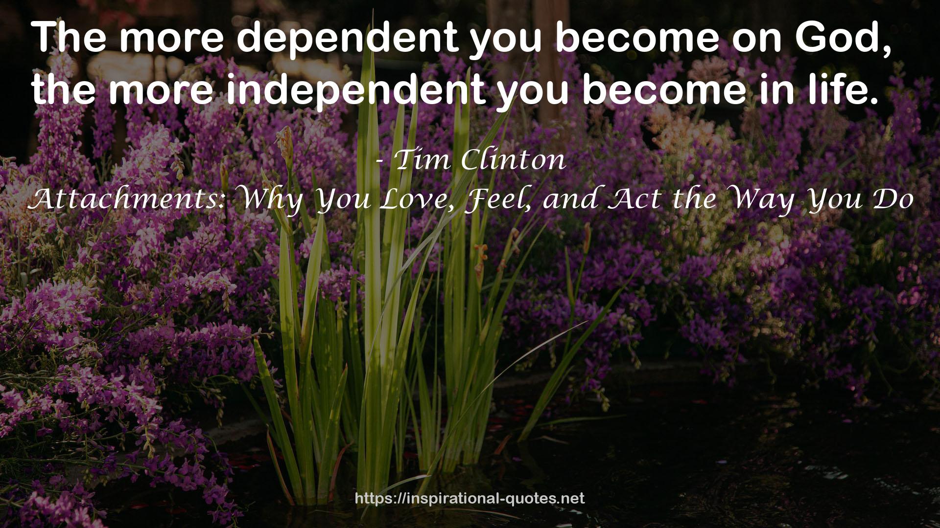 Attachments: Why You Love, Feel, and Act the Way You Do QUOTES