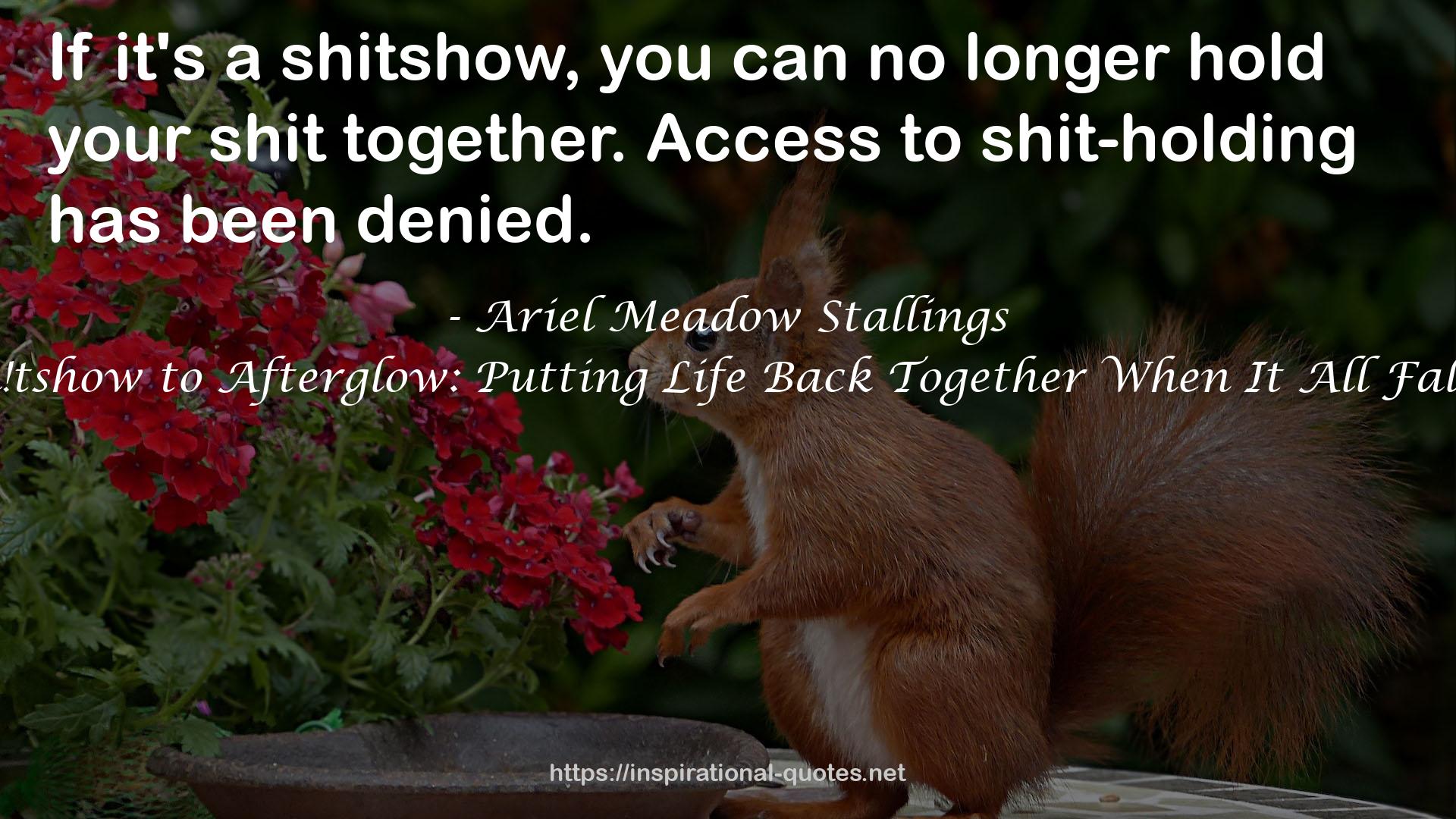 From Sh!tshow to Afterglow: Putting Life Back Together When It All Falls Apart QUOTES