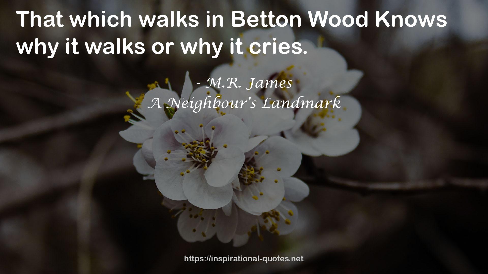 A Neighbour's Landmark QUOTES