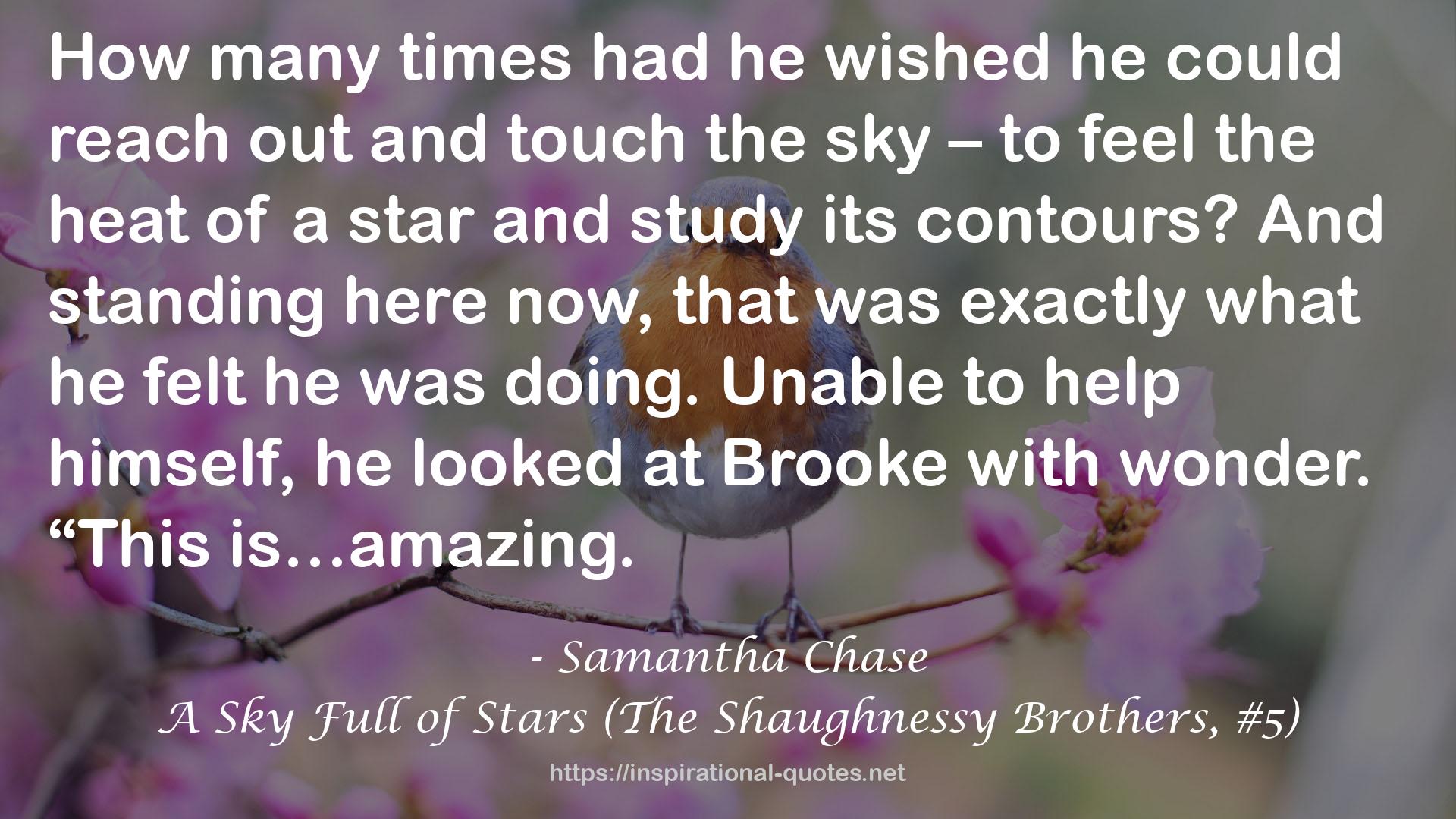 A Sky Full of Stars (The Shaughnessy Brothers, #5) QUOTES