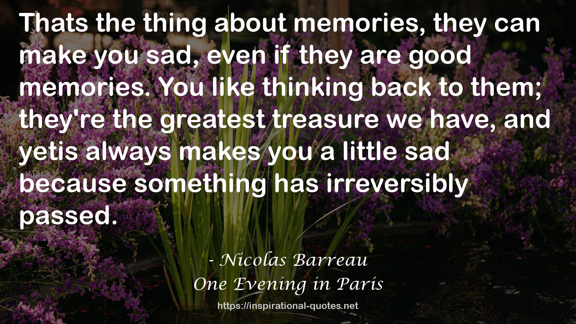 One Evening in Paris QUOTES