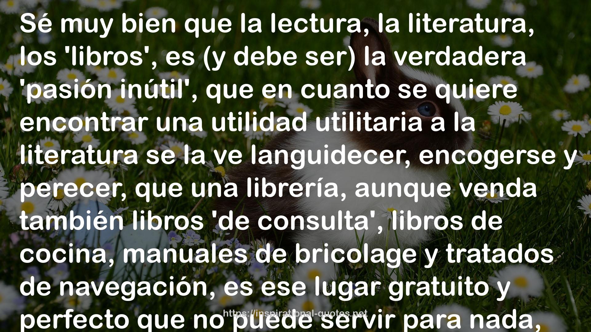 El amante de las librerías QUOTES