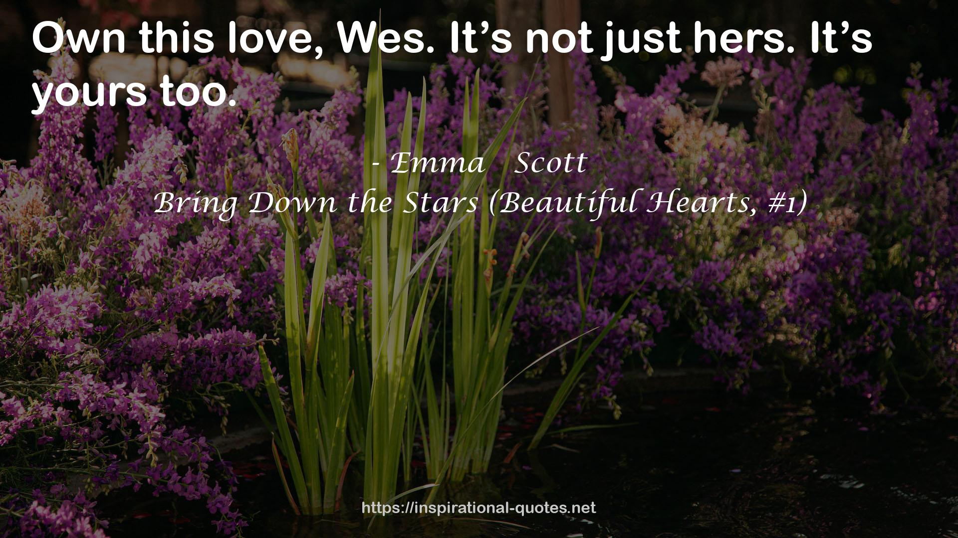 Bring Down the Stars (Beautiful Hearts, #1) QUOTES