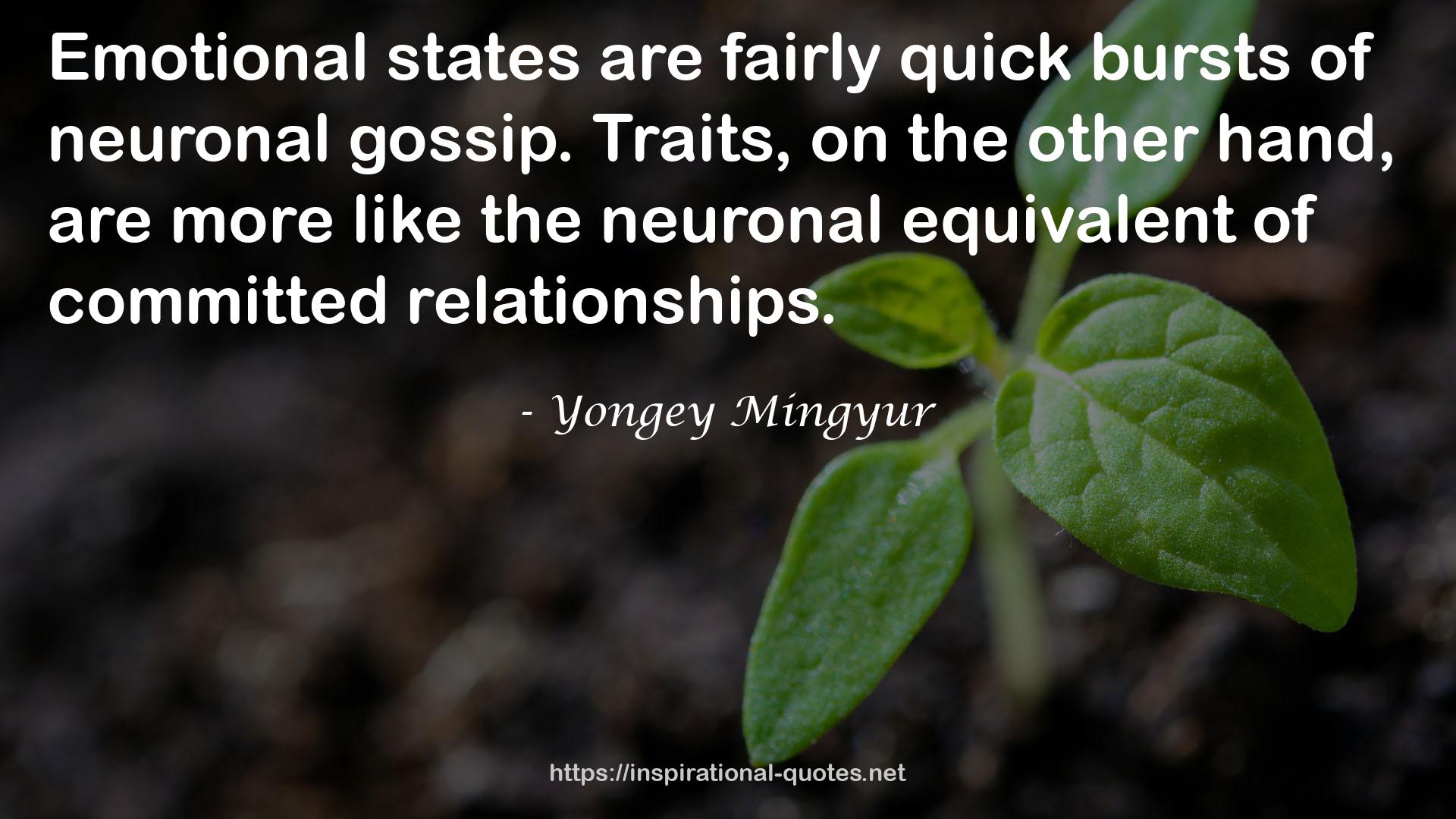 Yongey Mingyur QUOTES