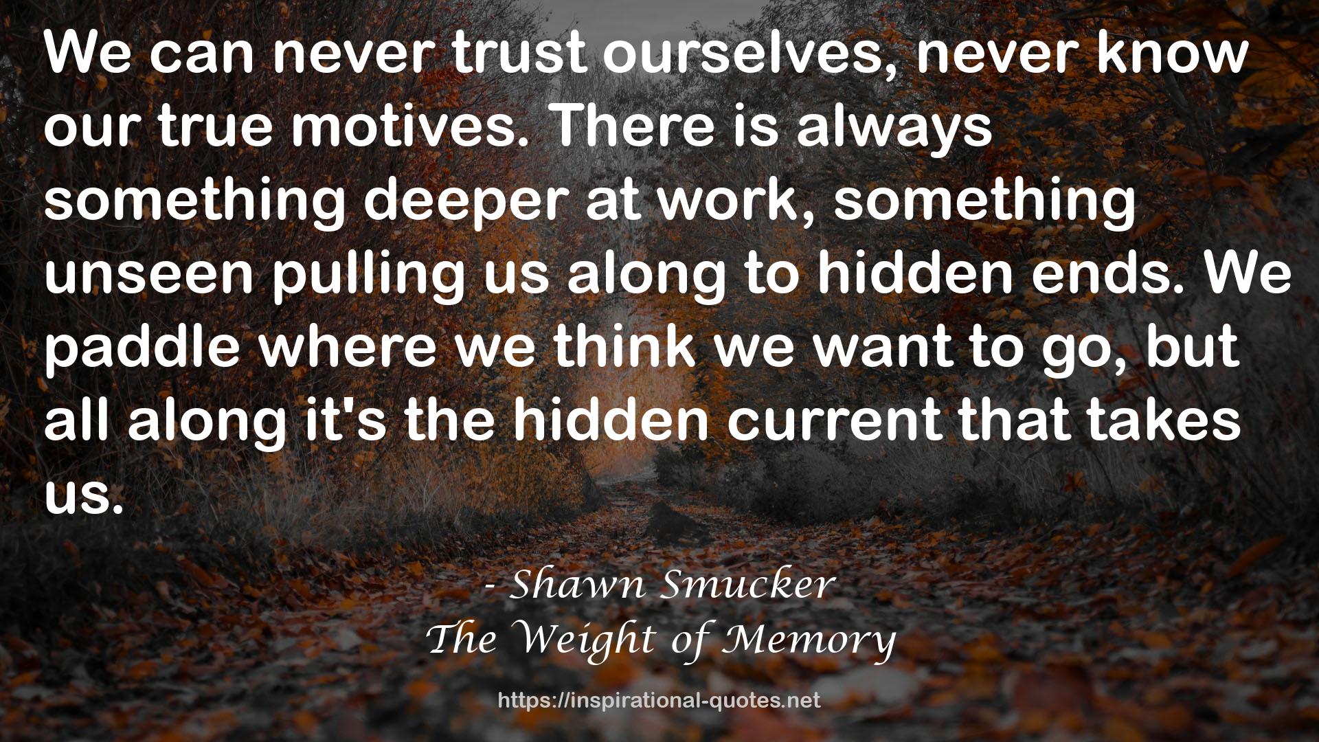 The Weight of Memory QUOTES