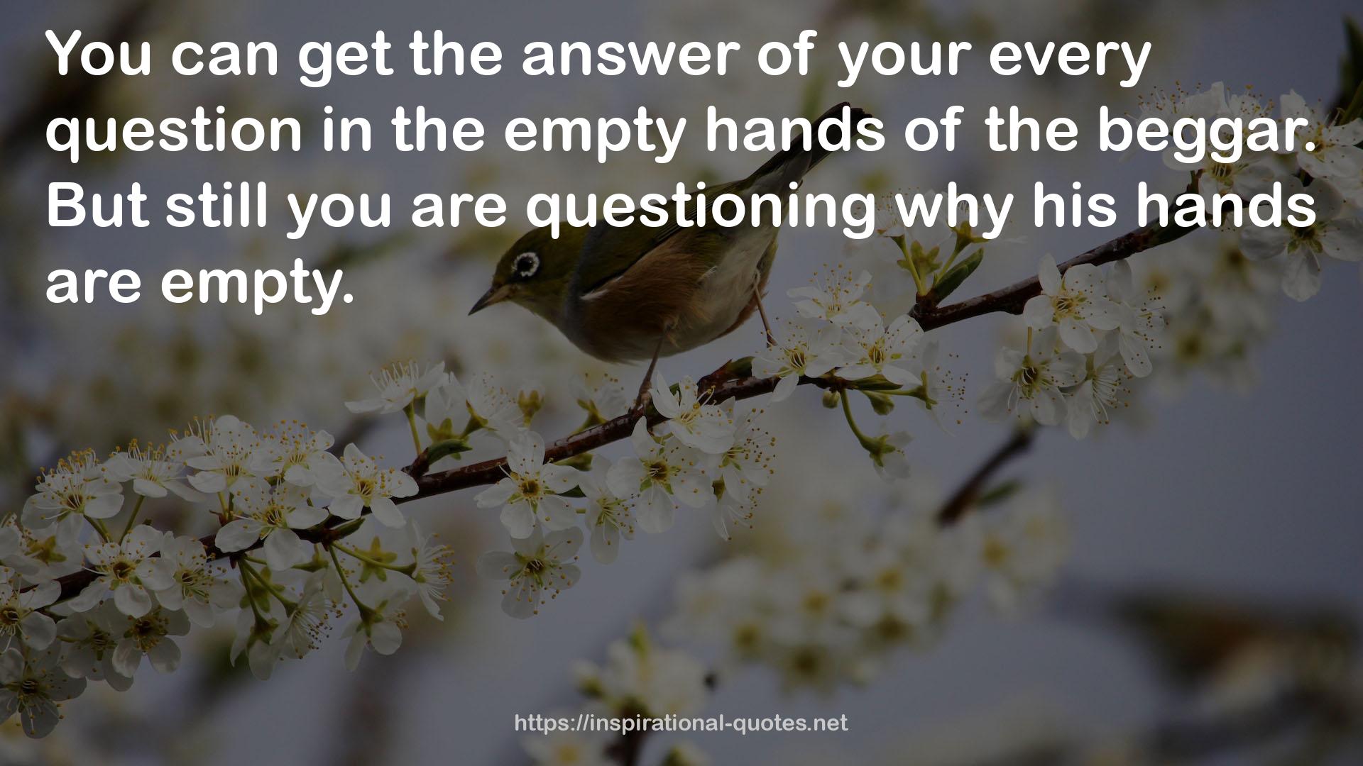 your every question  QUOTES